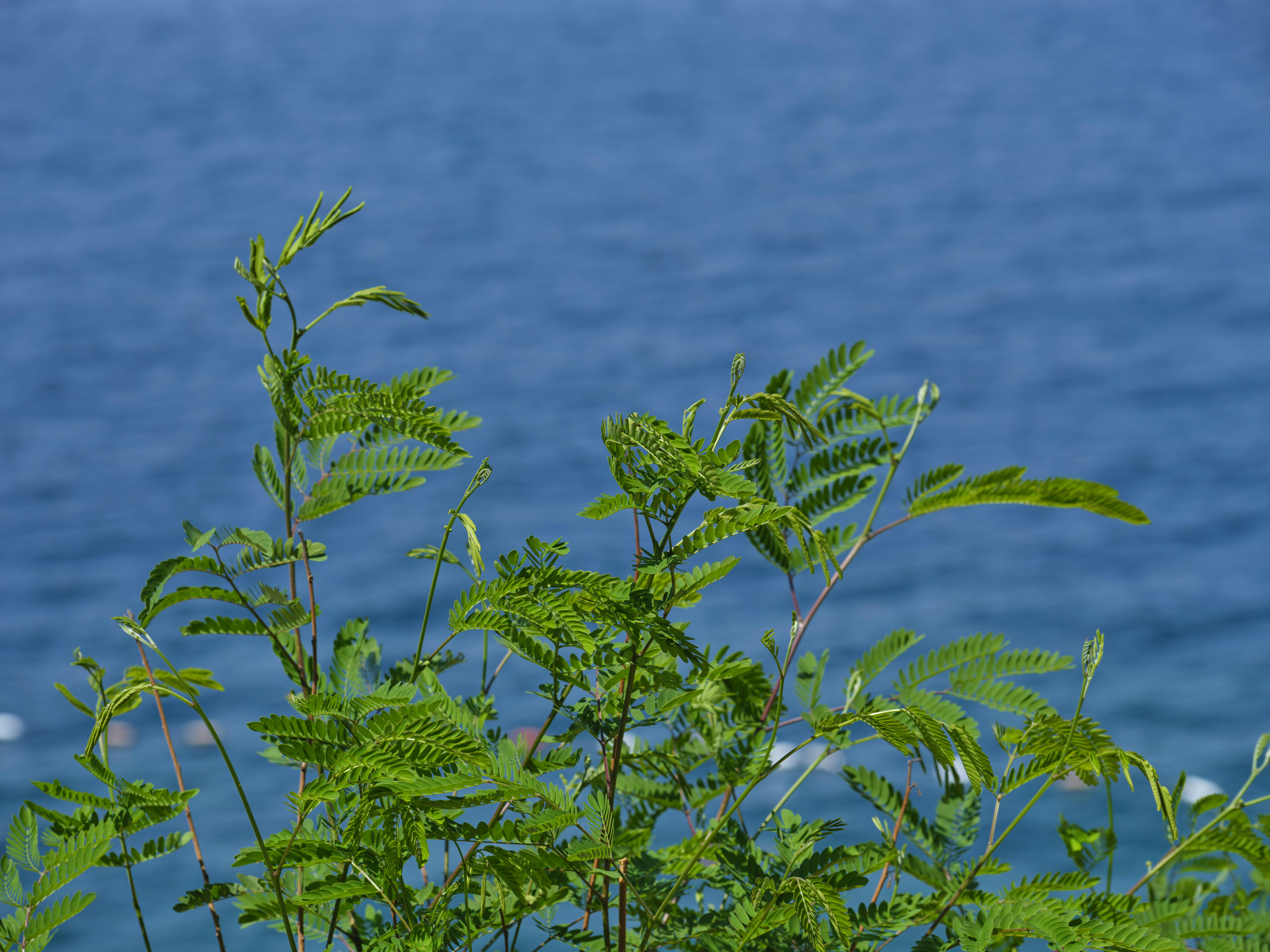 Photo by enginakyurt