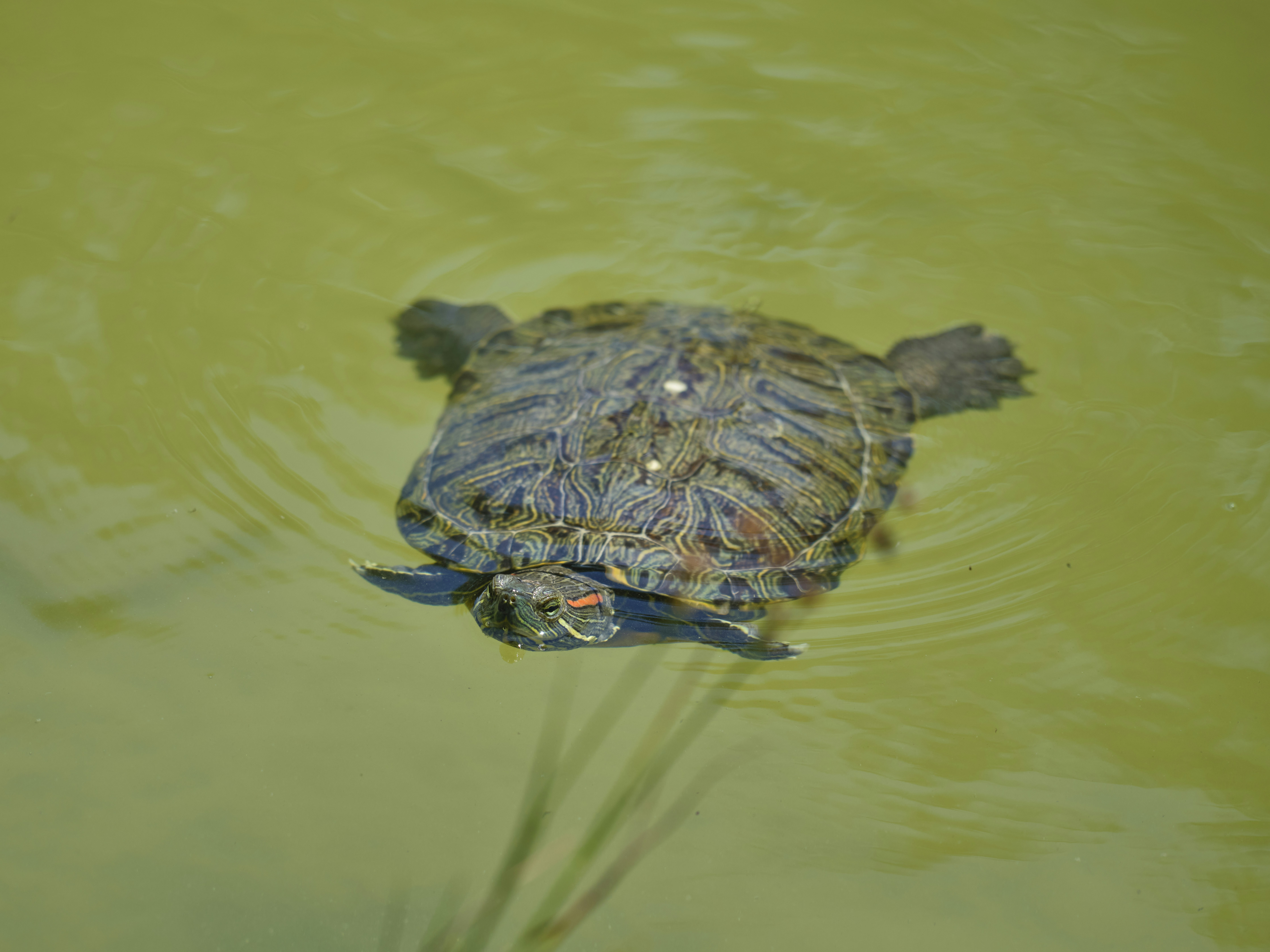 Photo by enginakyurt