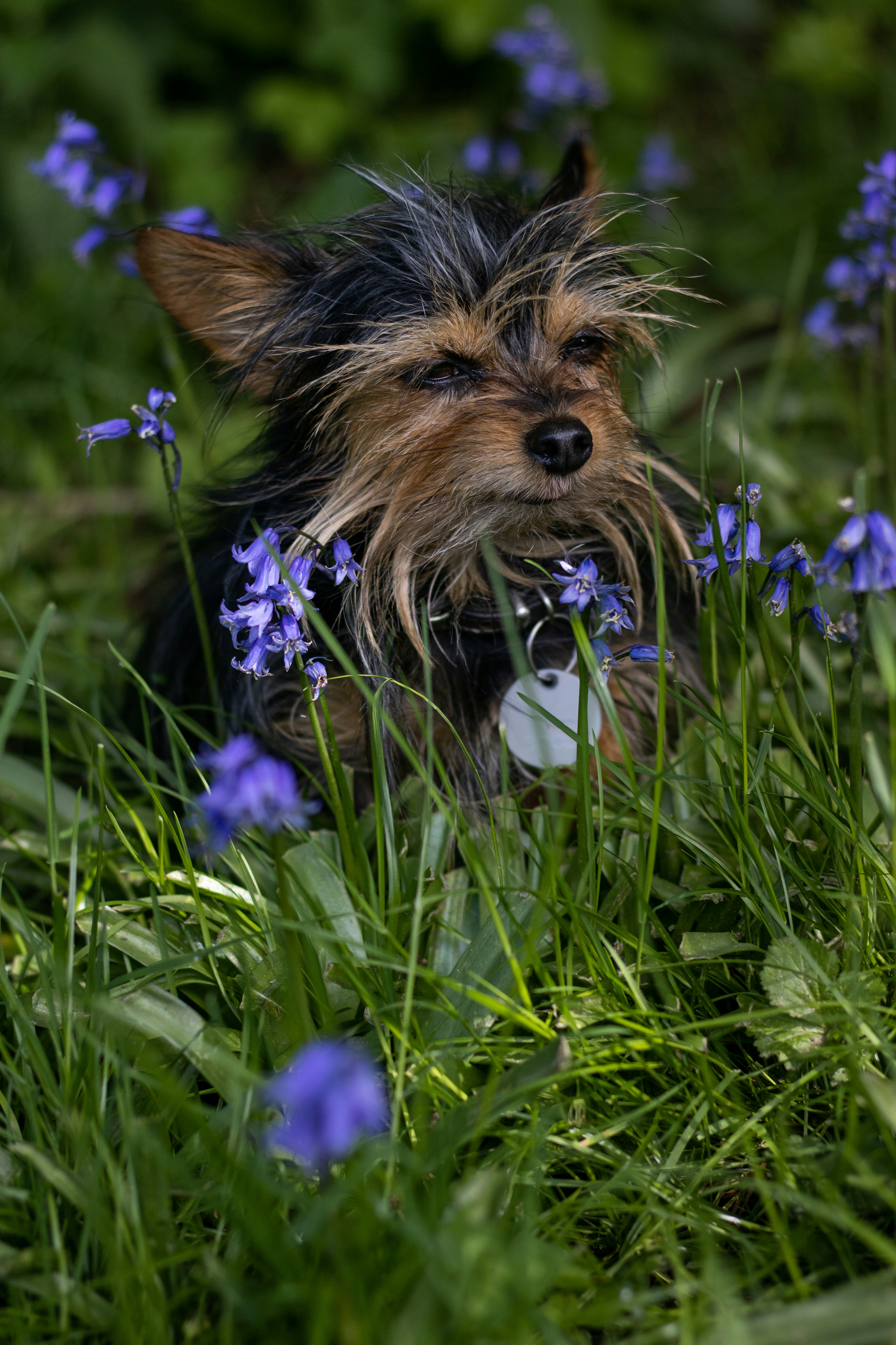 Photo by mirkofabian