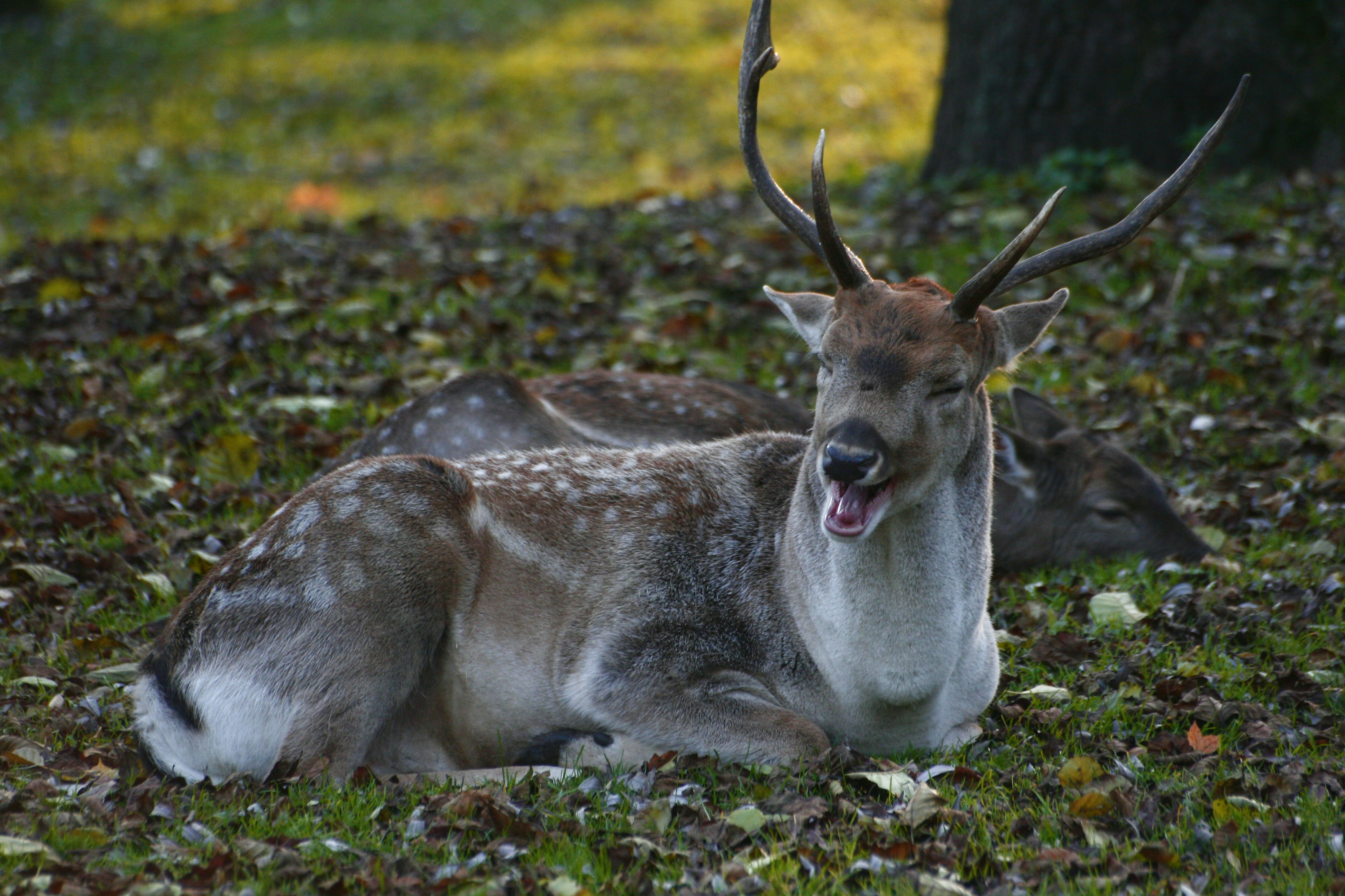 Photo by wildspirit
