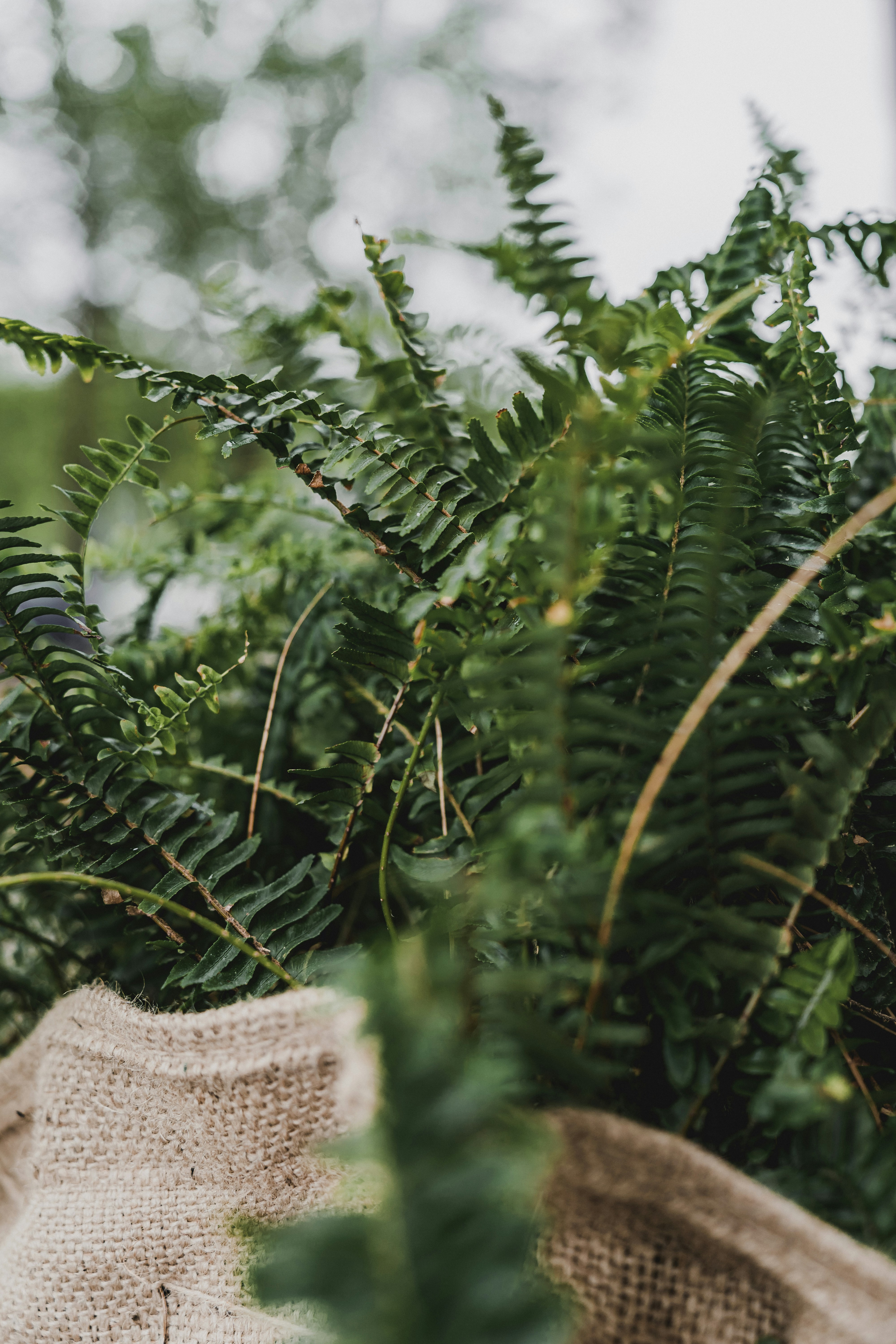 Photo by maksym_tymchyk