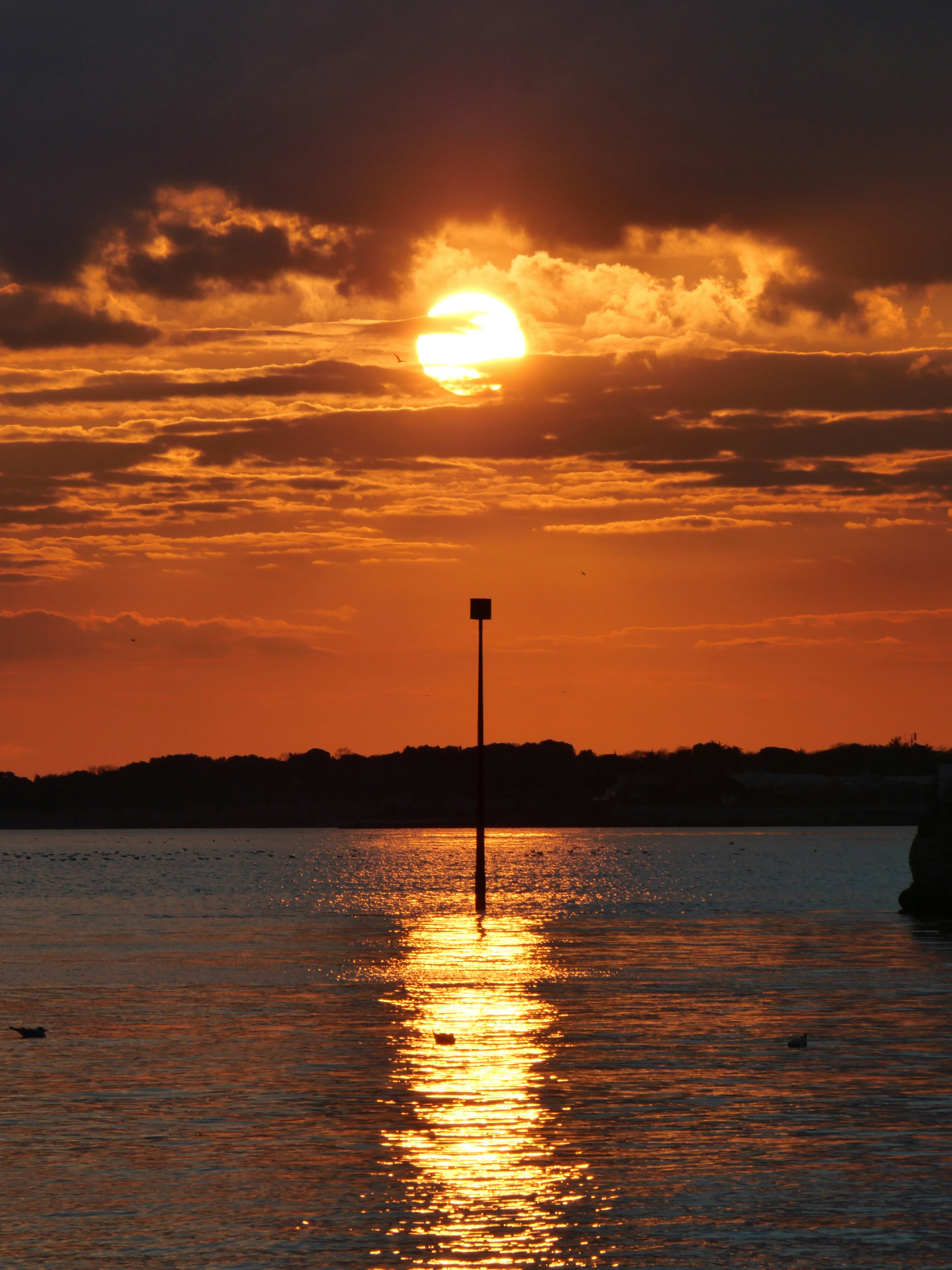 Photo by nimbus_vulpis