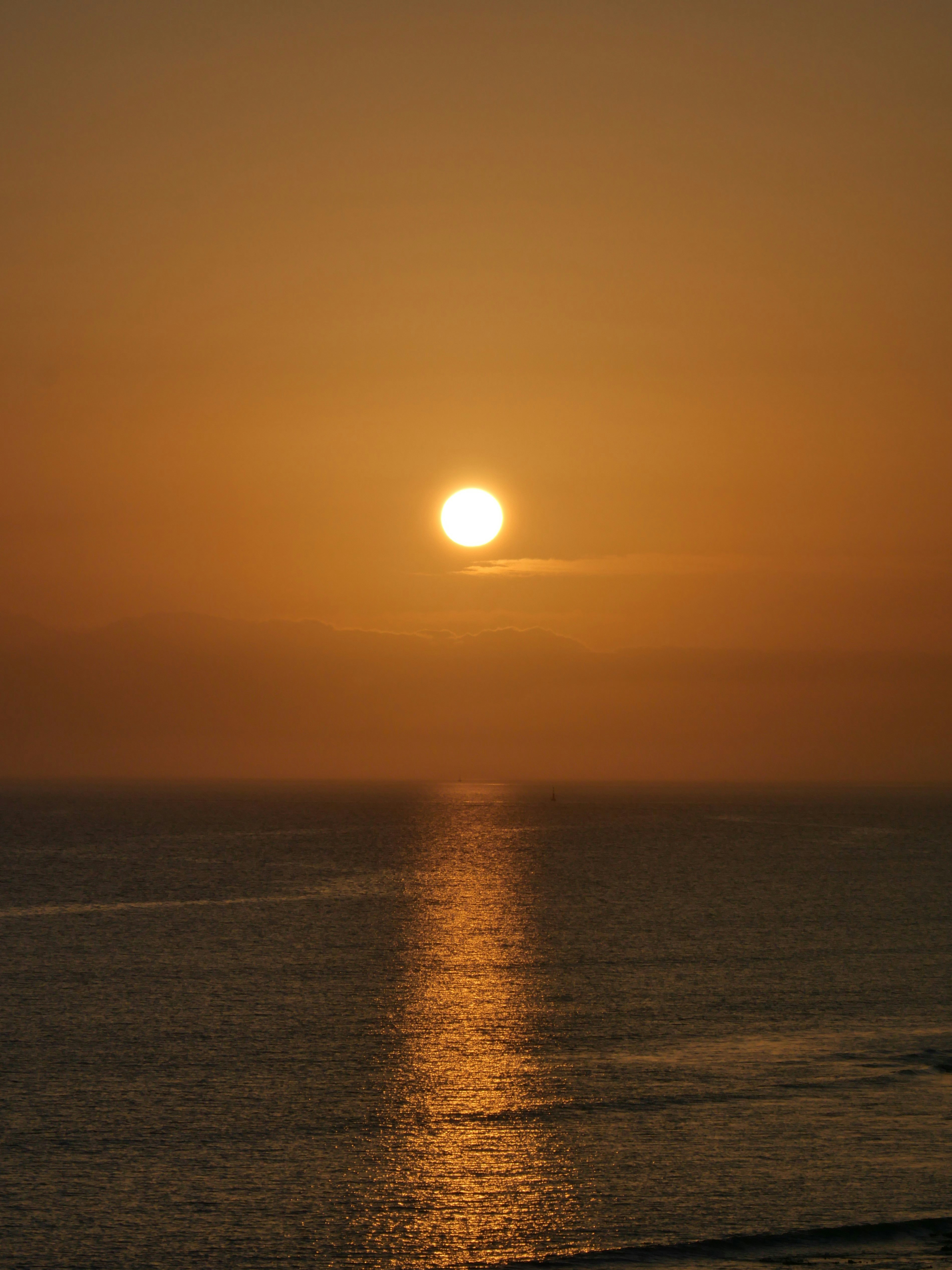 Photo by nimbus_vulpis