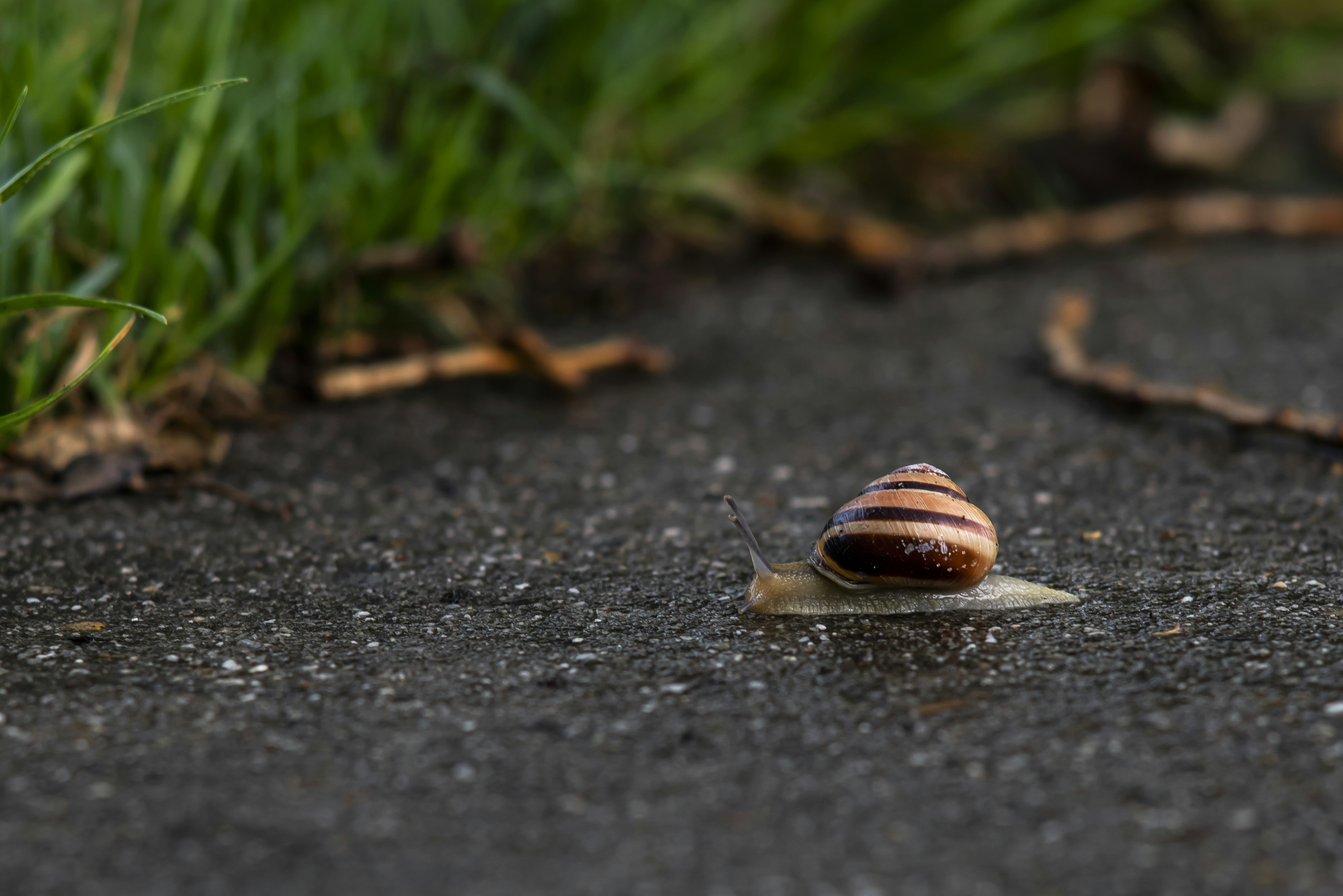 Photo by switch_dtp_fotografie