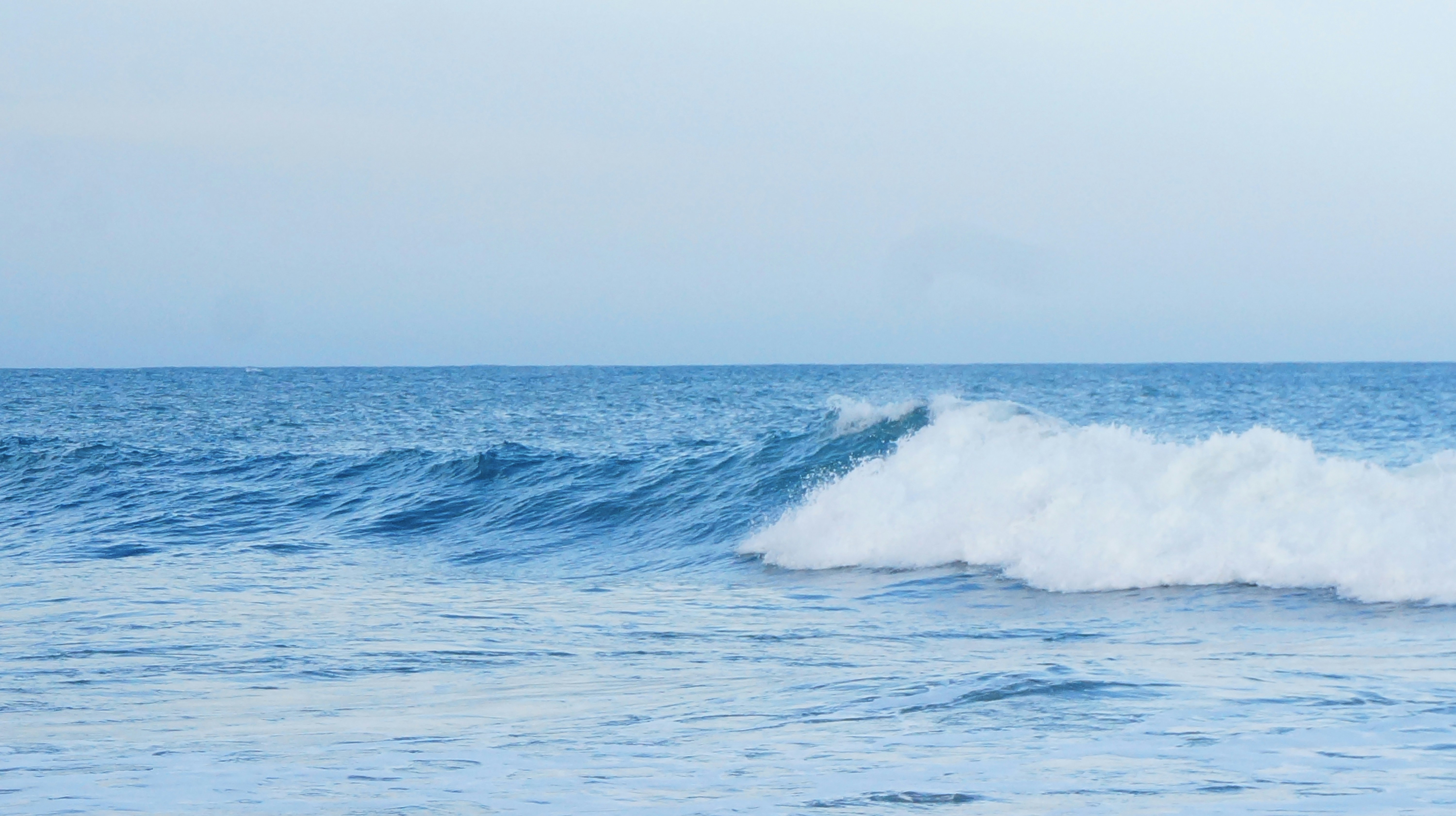 Photo by seeklovehide