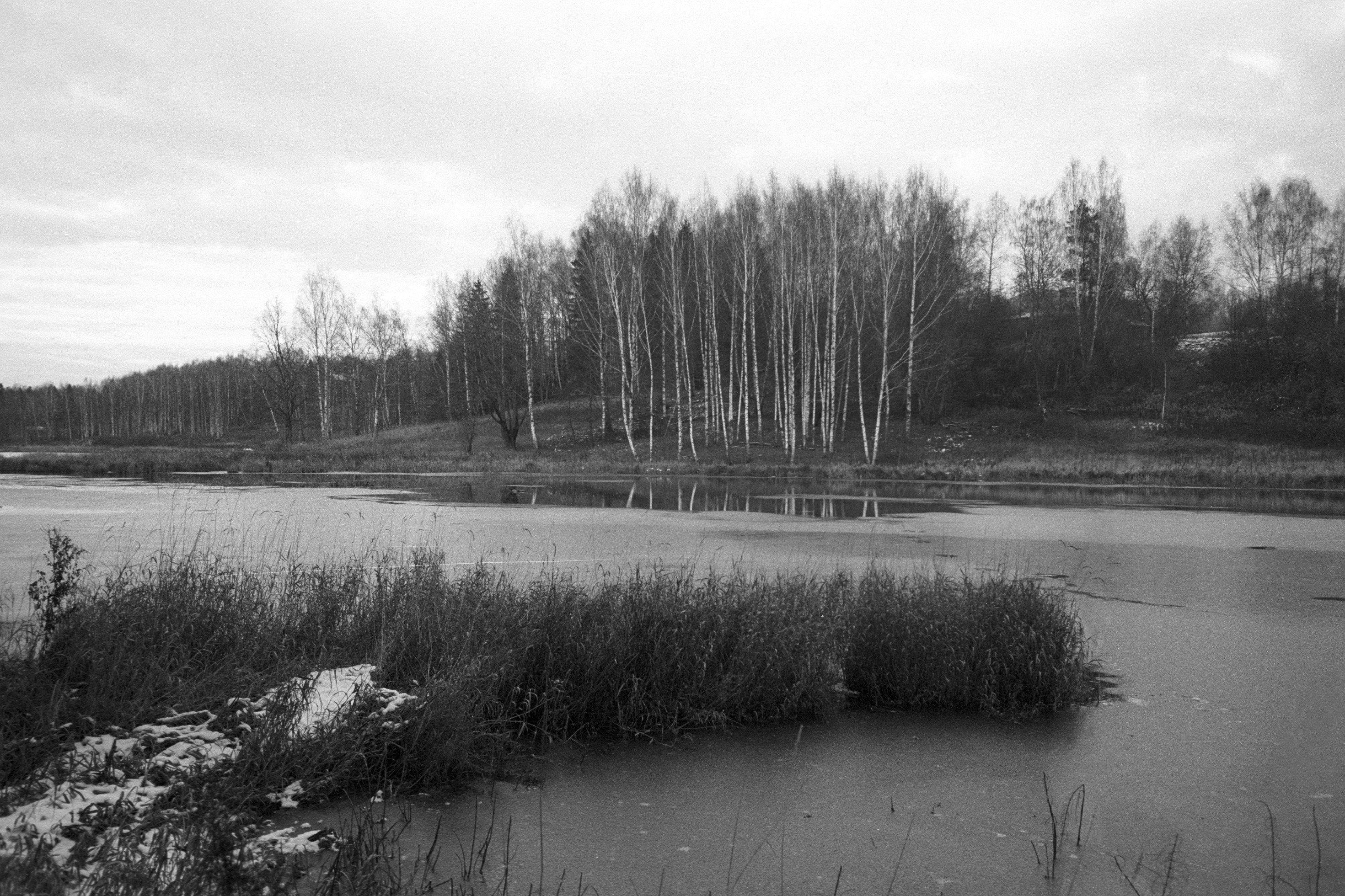 a black and white photo of a lake surrounded by trees