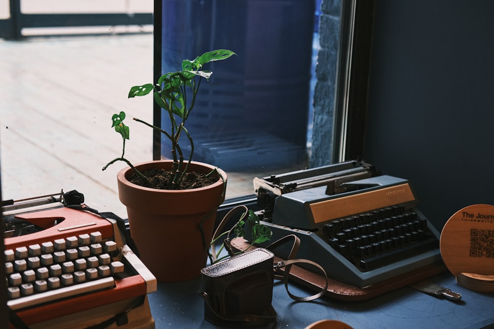a plant in a pot next to an old typewriter