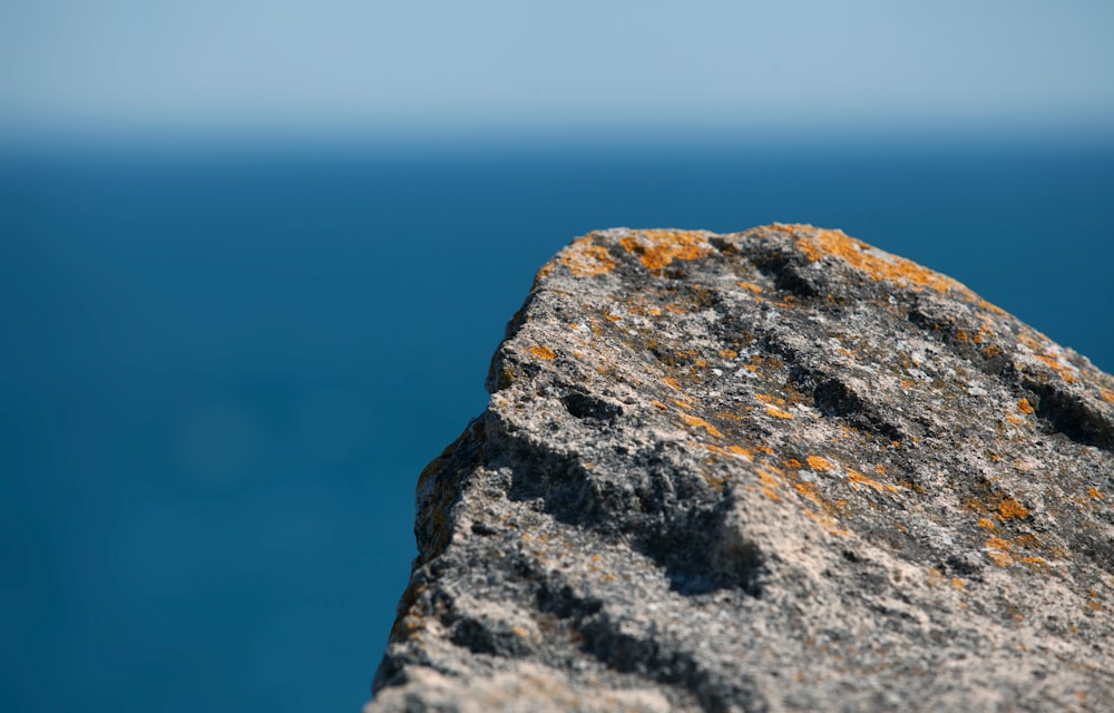 a close up of a rock with a body of water in the background