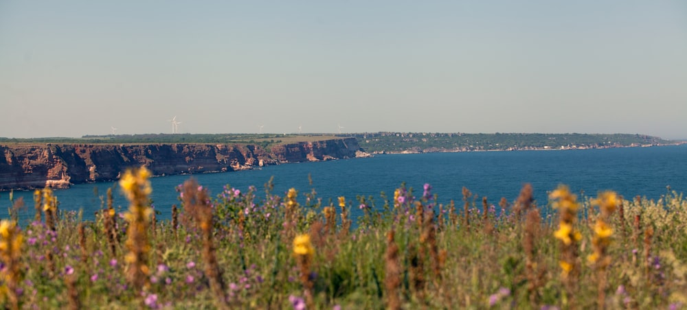 a large body of water sitting next to a lush green hillside