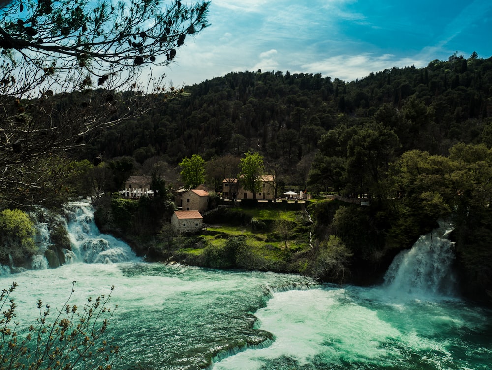 a river flowing through a lush green forest