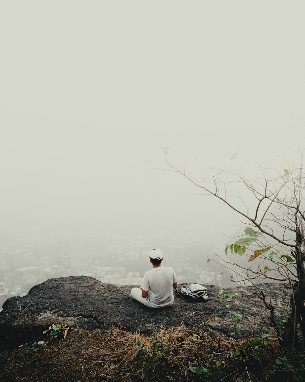 a man sitting on top of a rock next to a tree