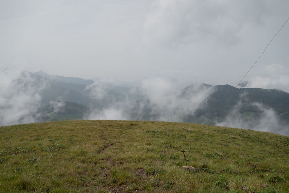 a grassy hill with mountains in the background