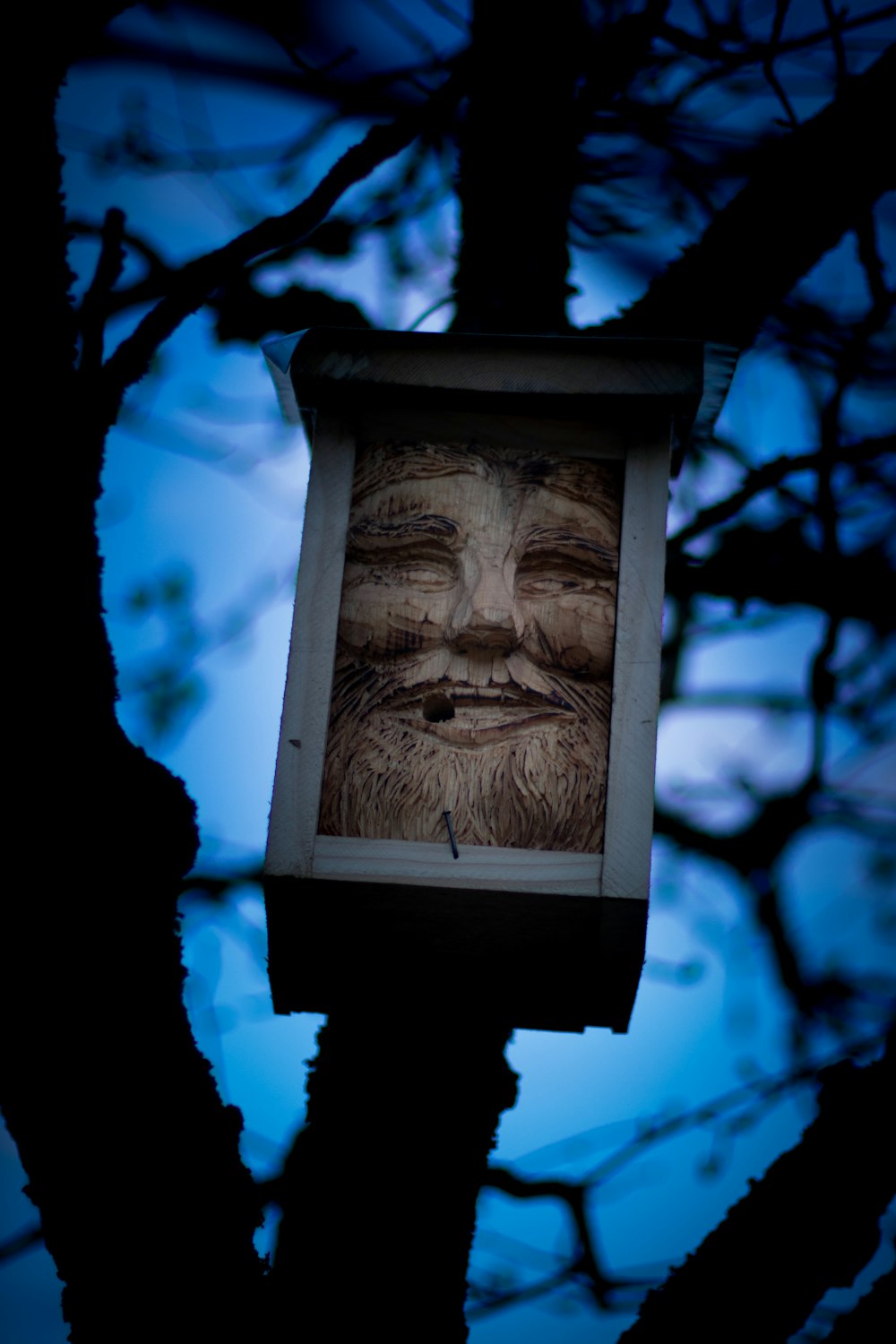 a picture of a bearded man hanging from a tree
