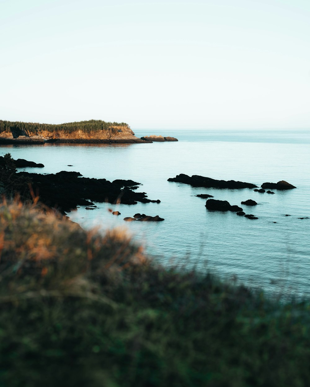 a body of water sitting next to a lush green hillside