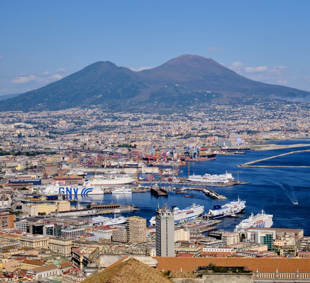 a view of a city with a mountain in the background