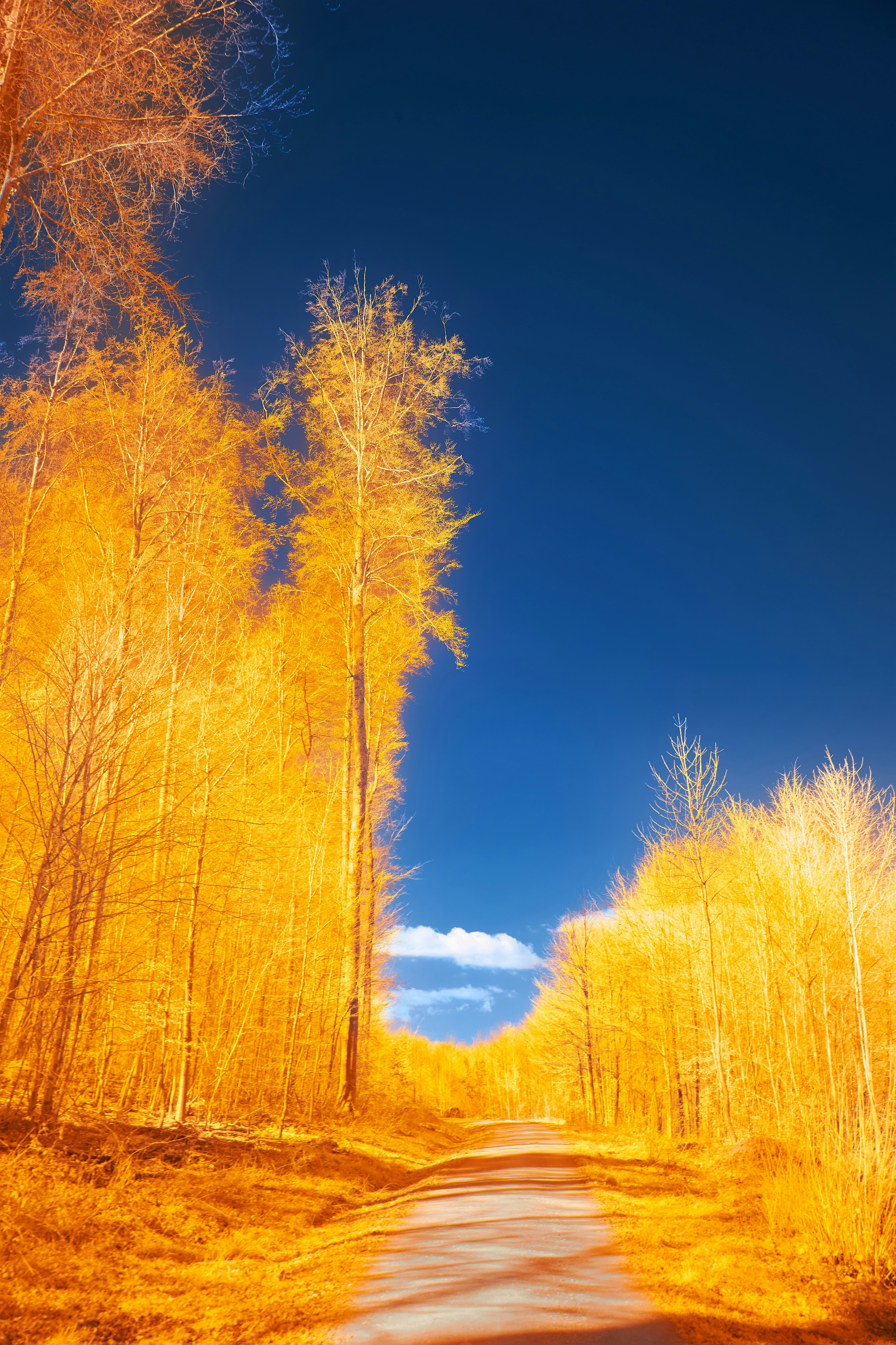 Photo by wolfgang_hasselmann