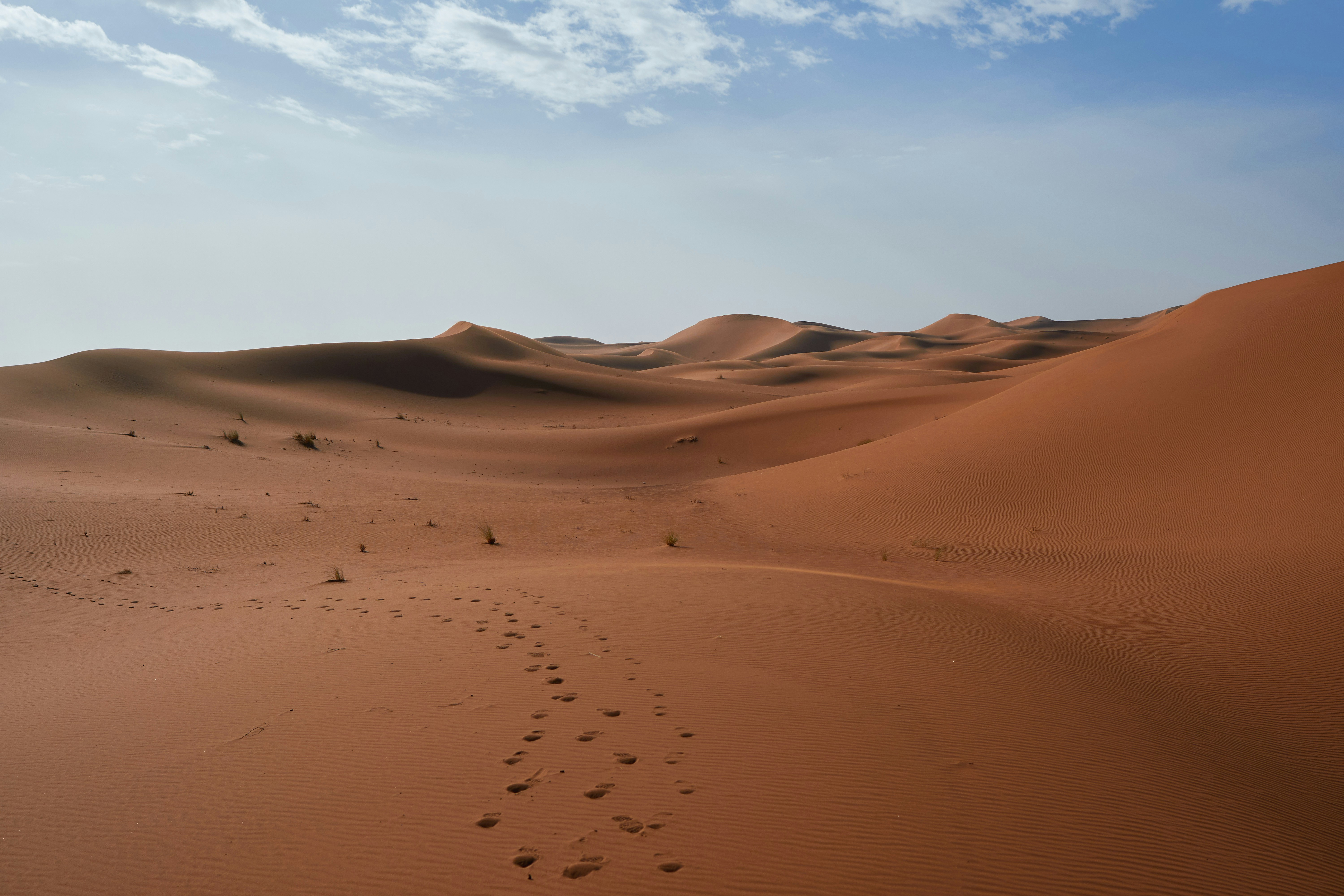 Photo by wolfgang_hasselmann