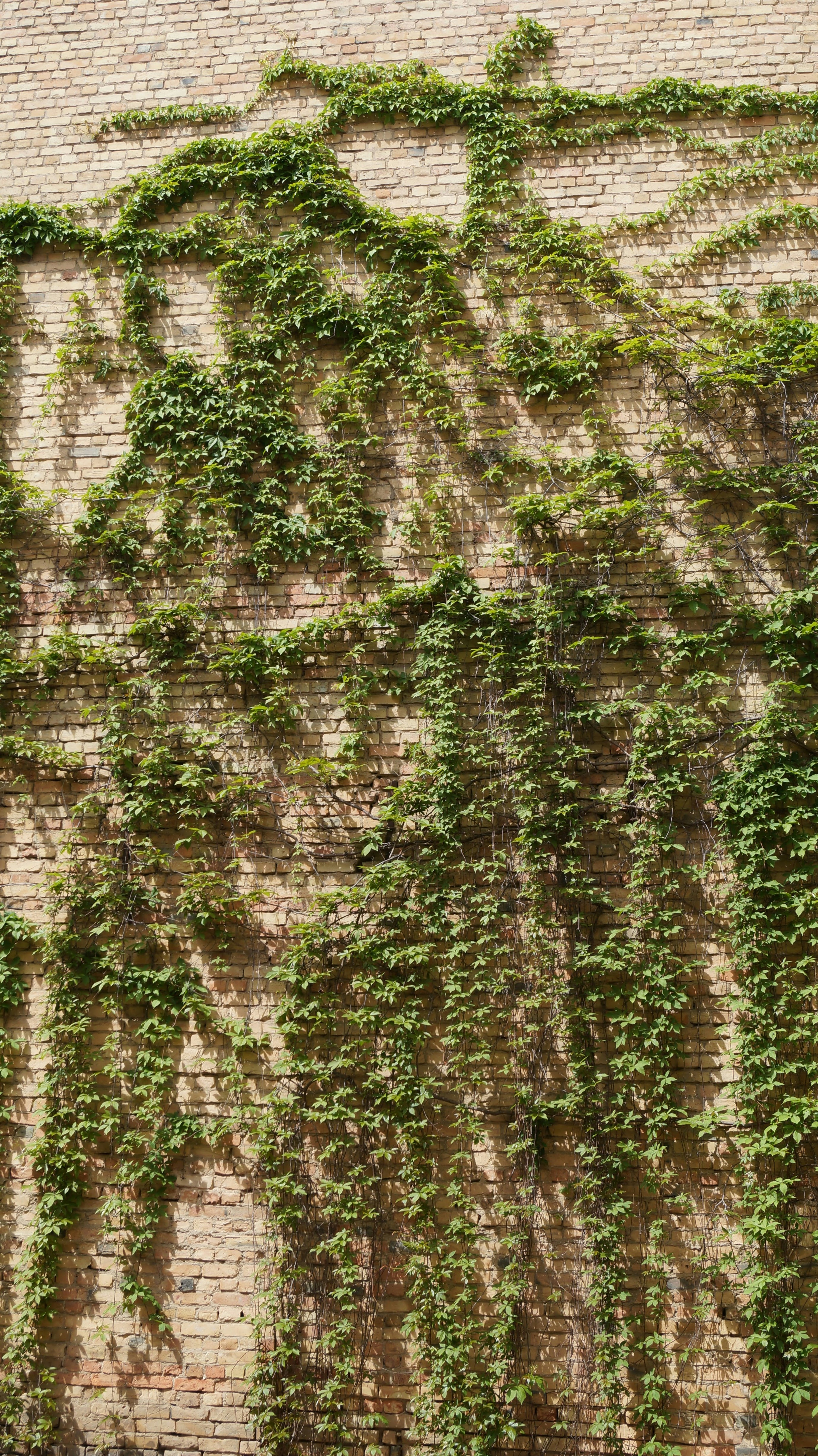 Photo by alenakalashmatina