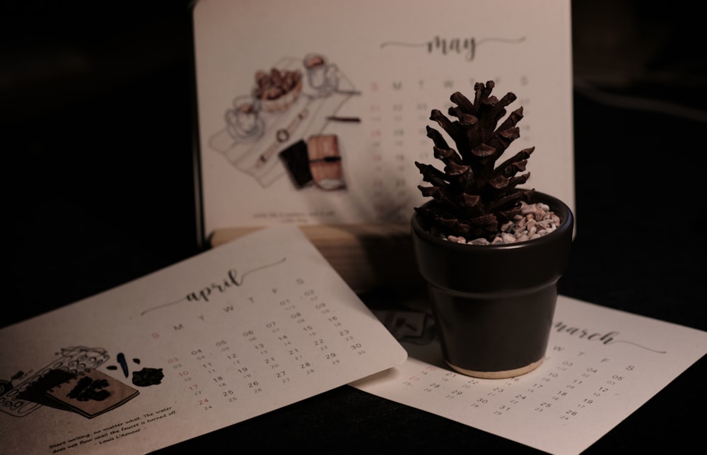 Un pequeño cono de pino sentado encima de una mesa junto a un calendario