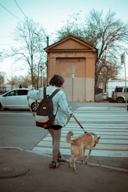 a woman walking a dog across a cross walk