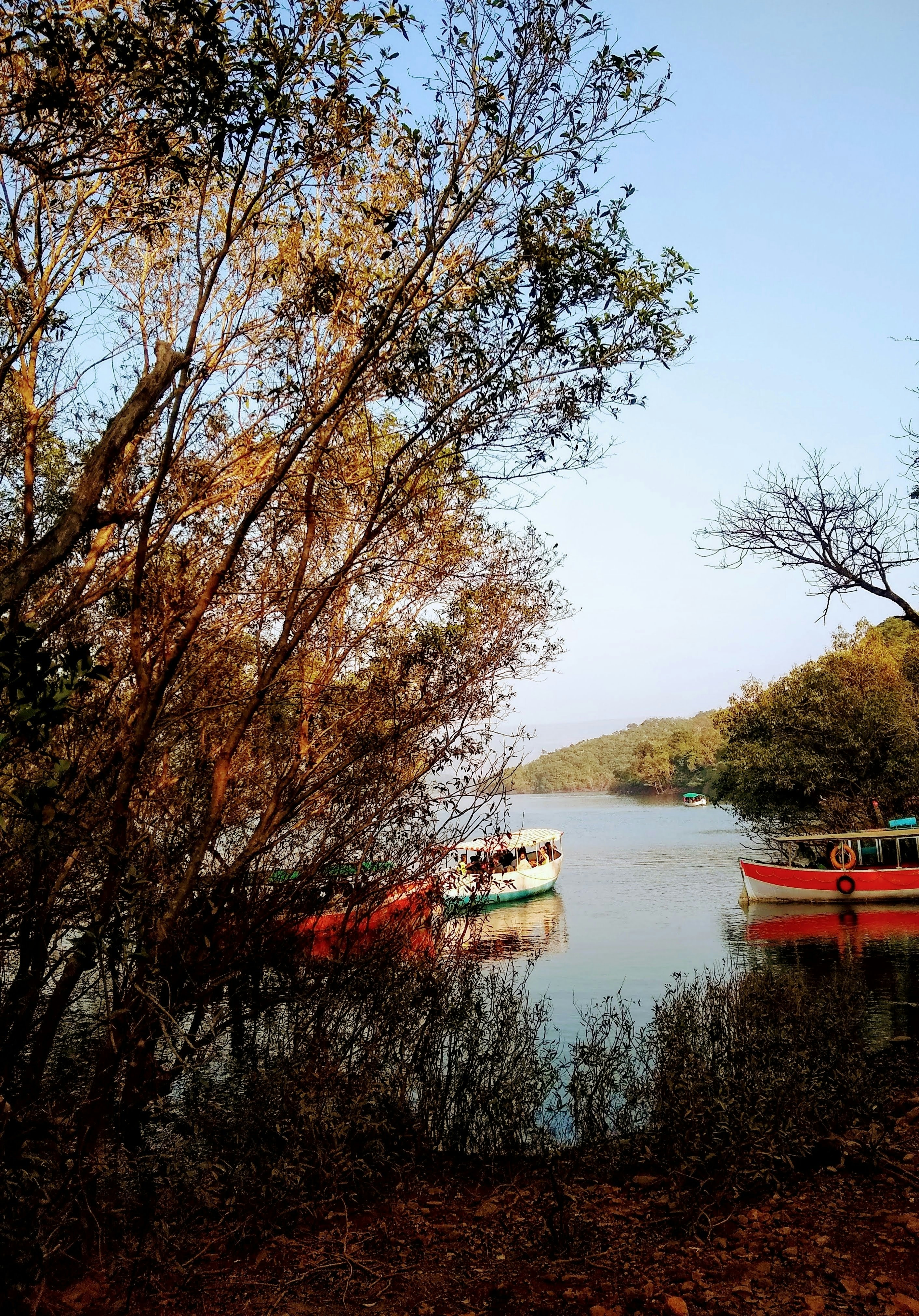 Ooty lake surrounded by eucalyptus trees, boating area, clear blue sky, Tamil Nadu hill station