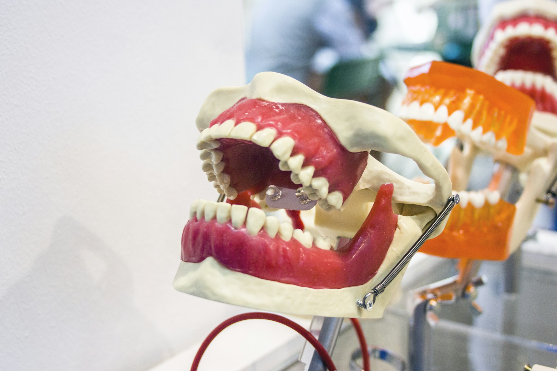 a close up of a fake mouth with teeth