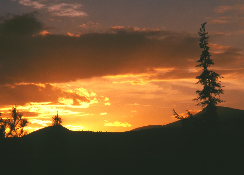 the sun is setting over a mountain with a tree in the foreground