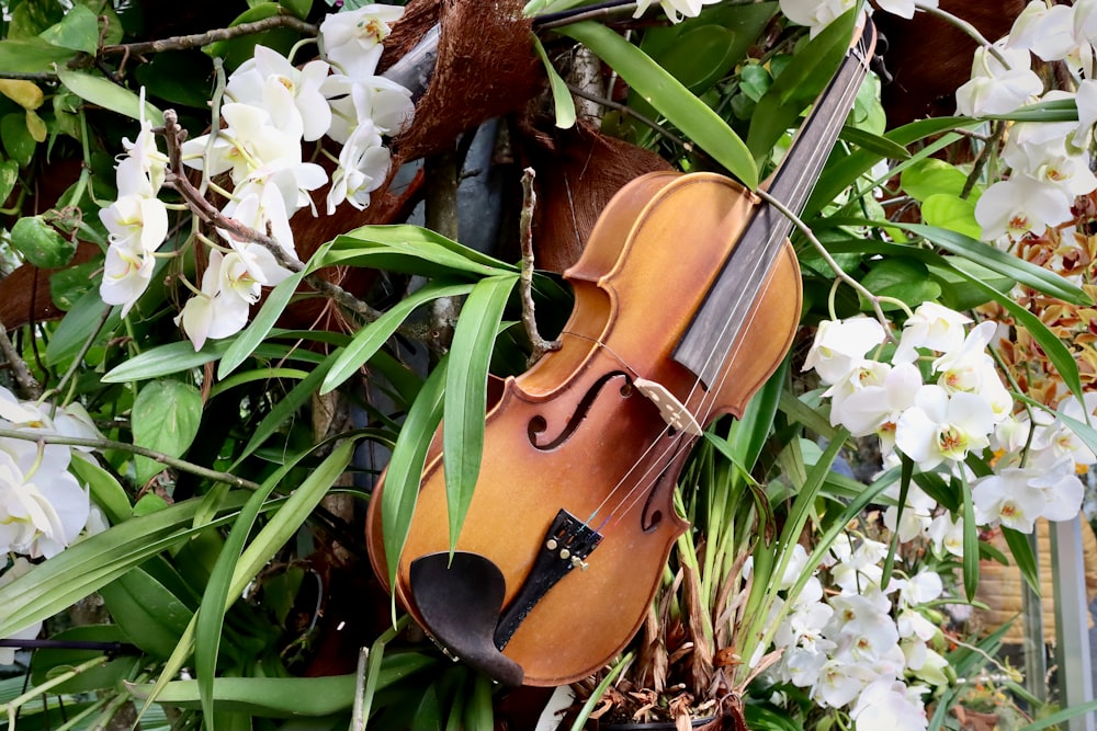 a violin sitting in the middle of some flowers