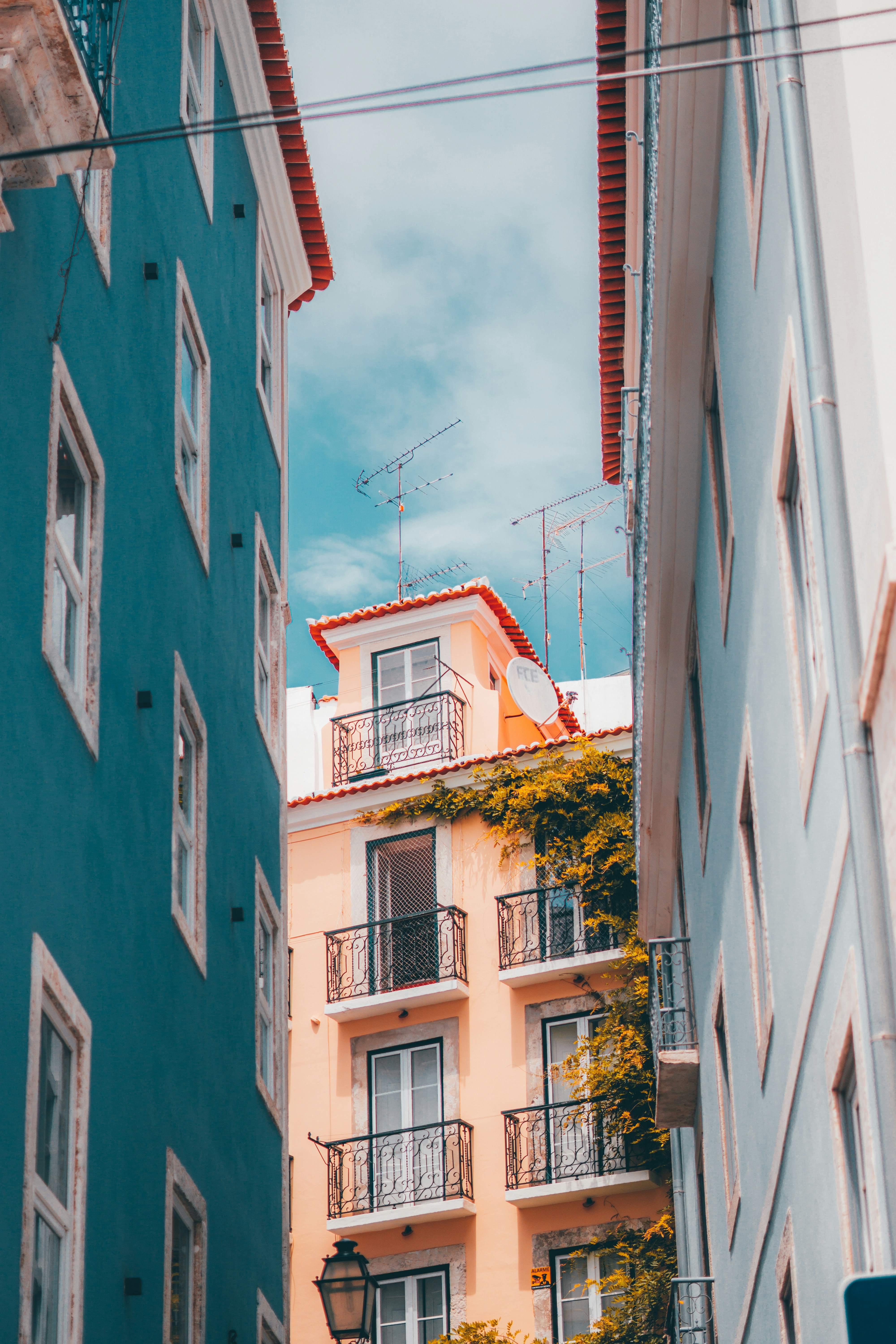 Photo by graphistedubinks