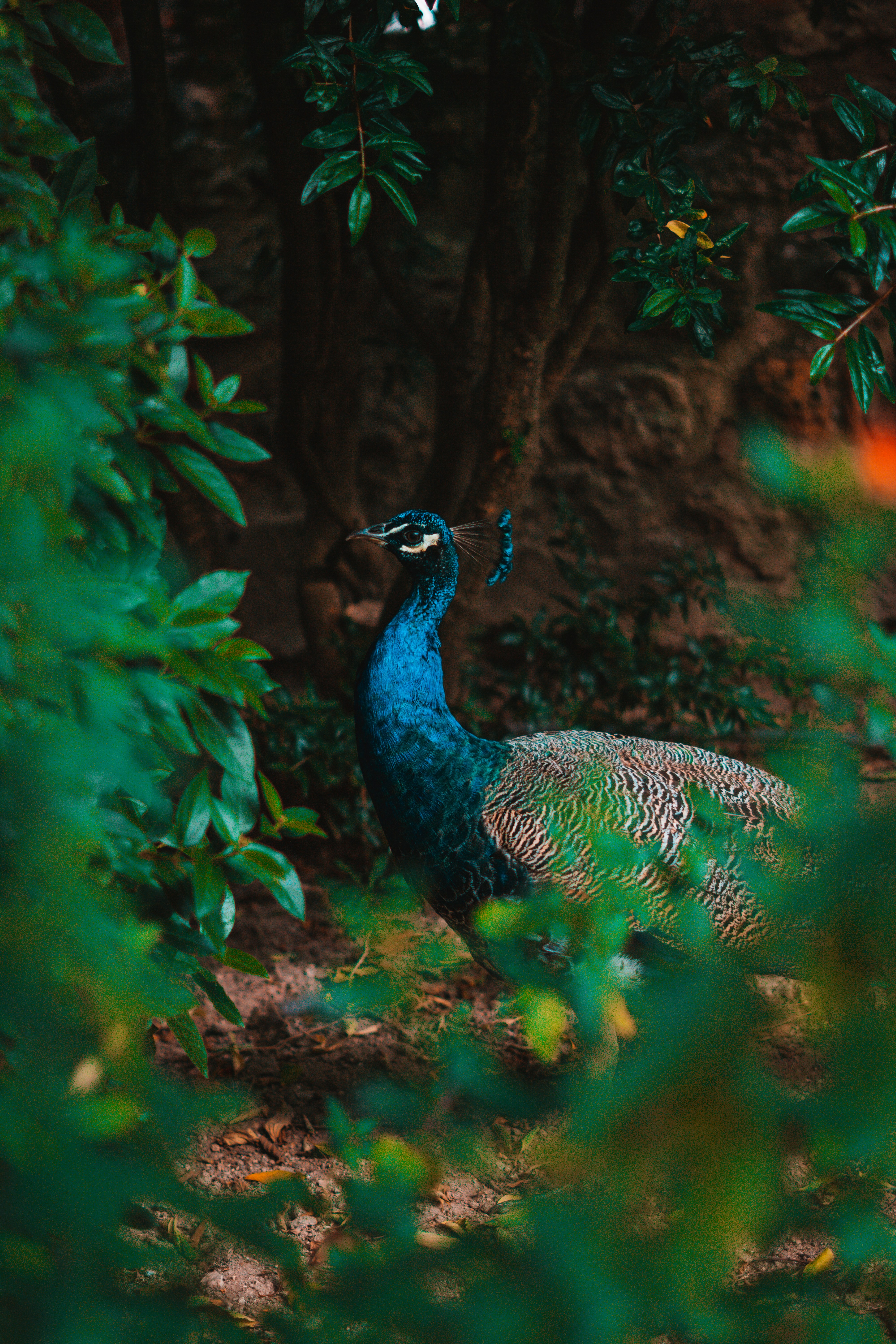 Photo by graphistedubinks