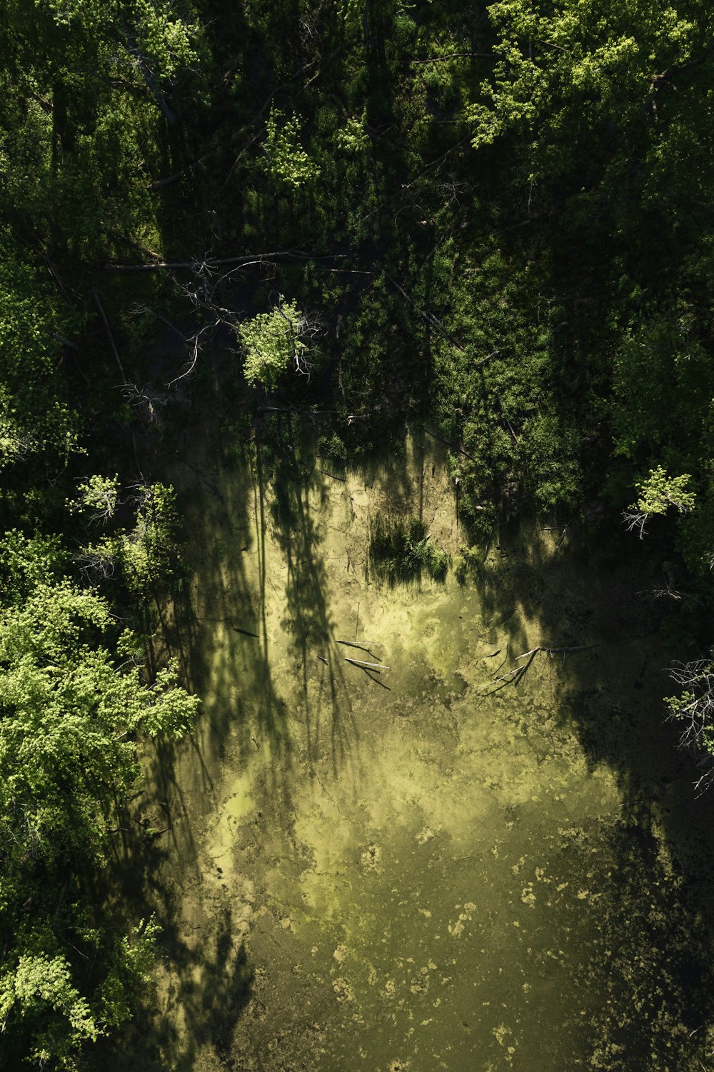 an aerial view of a river surrounded by trees