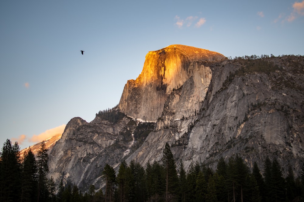 a large mountain with a bird flying over it