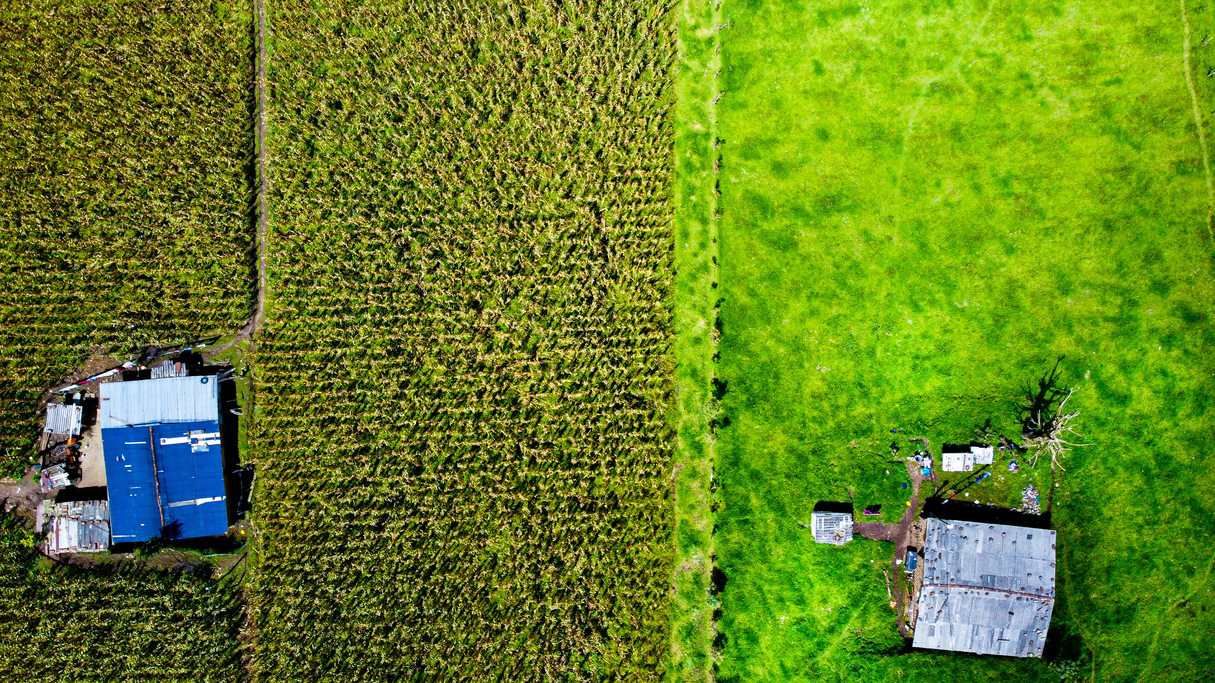 an aerial view of a farm field and a tractor