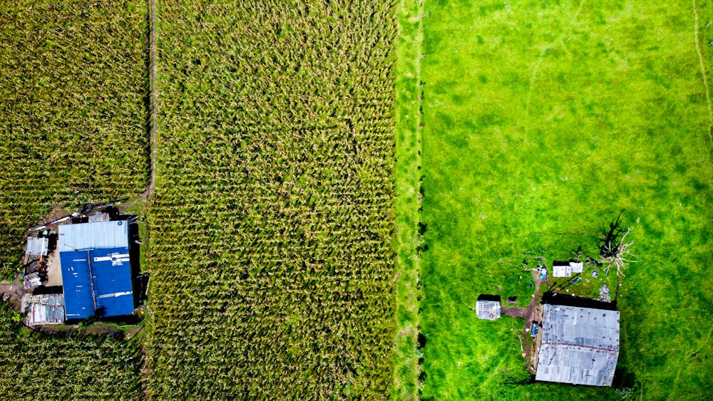 an aerial view of a farm field and a tractor