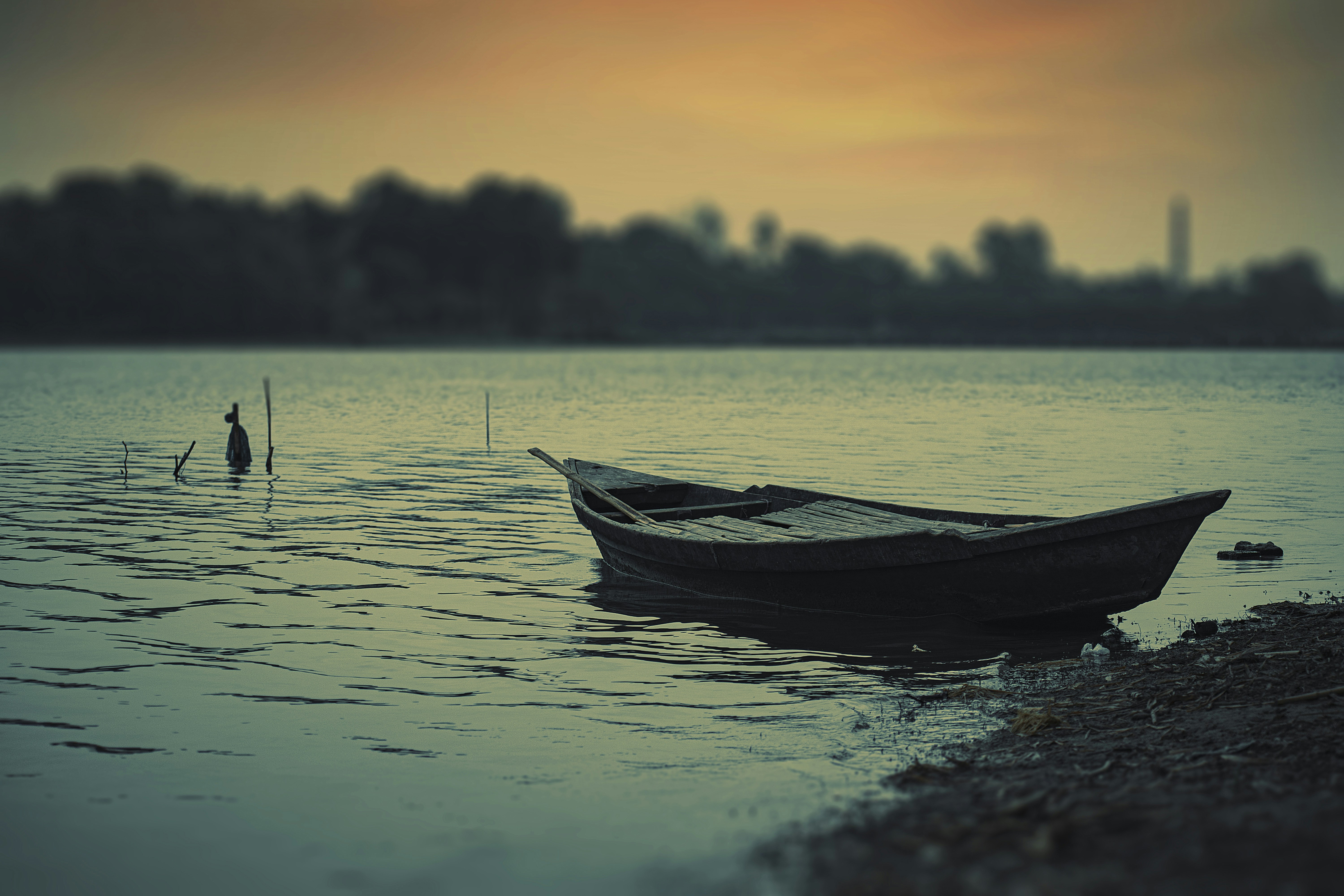 Photo by tarikulxraana