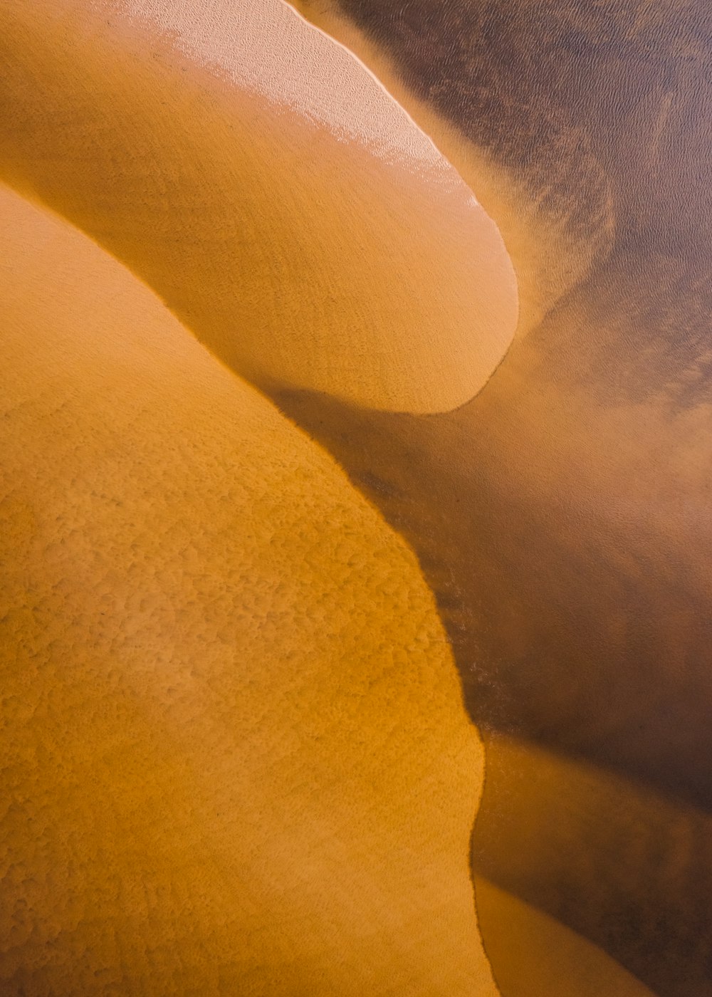 a desert landscape with sand blowing in the wind