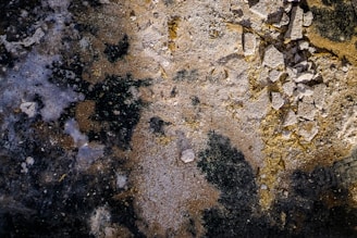 A textured surface with a mix of dark and light areas, featuring scattered stones and debris. The surface is rough and uneven, with colors shifting from dark black patches to dusty browns and yellows.