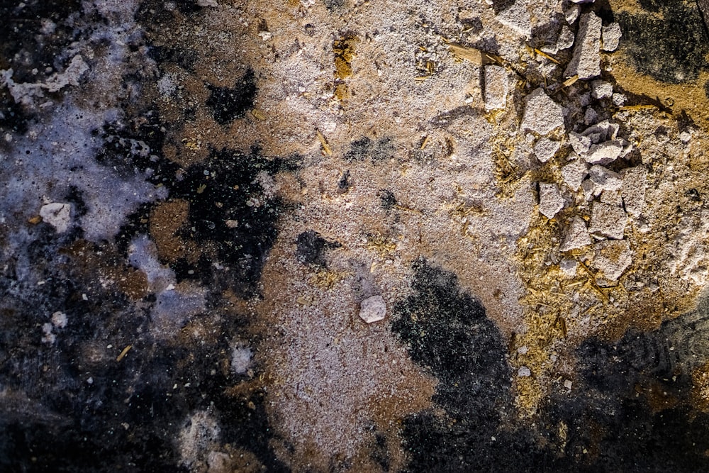 a close up of a rock with yellow and black paint