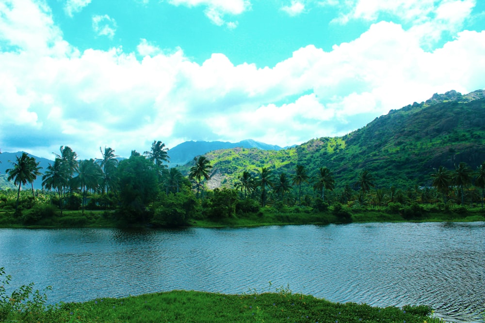 a body of water surrounded by a lush green hillside