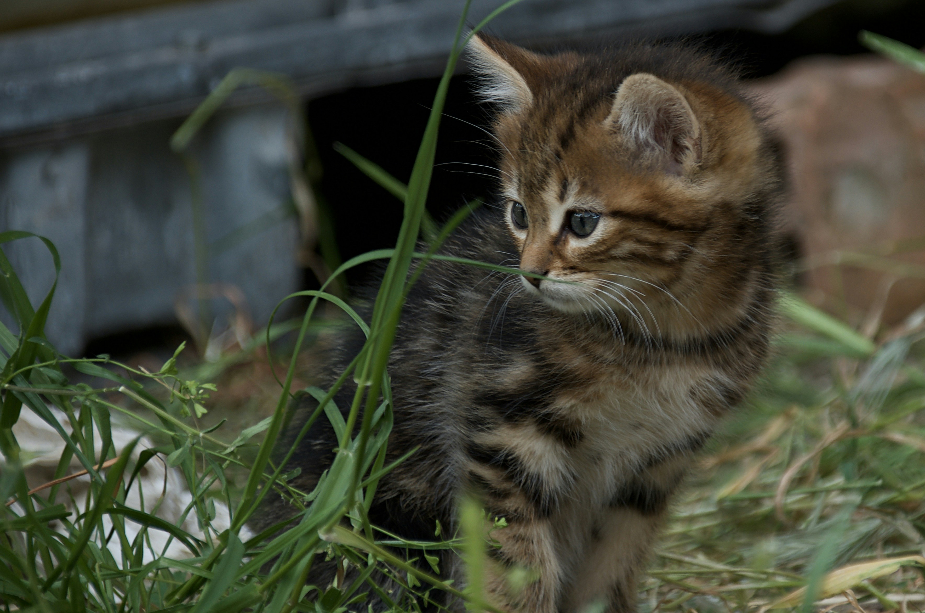 Photo by mariobeducci