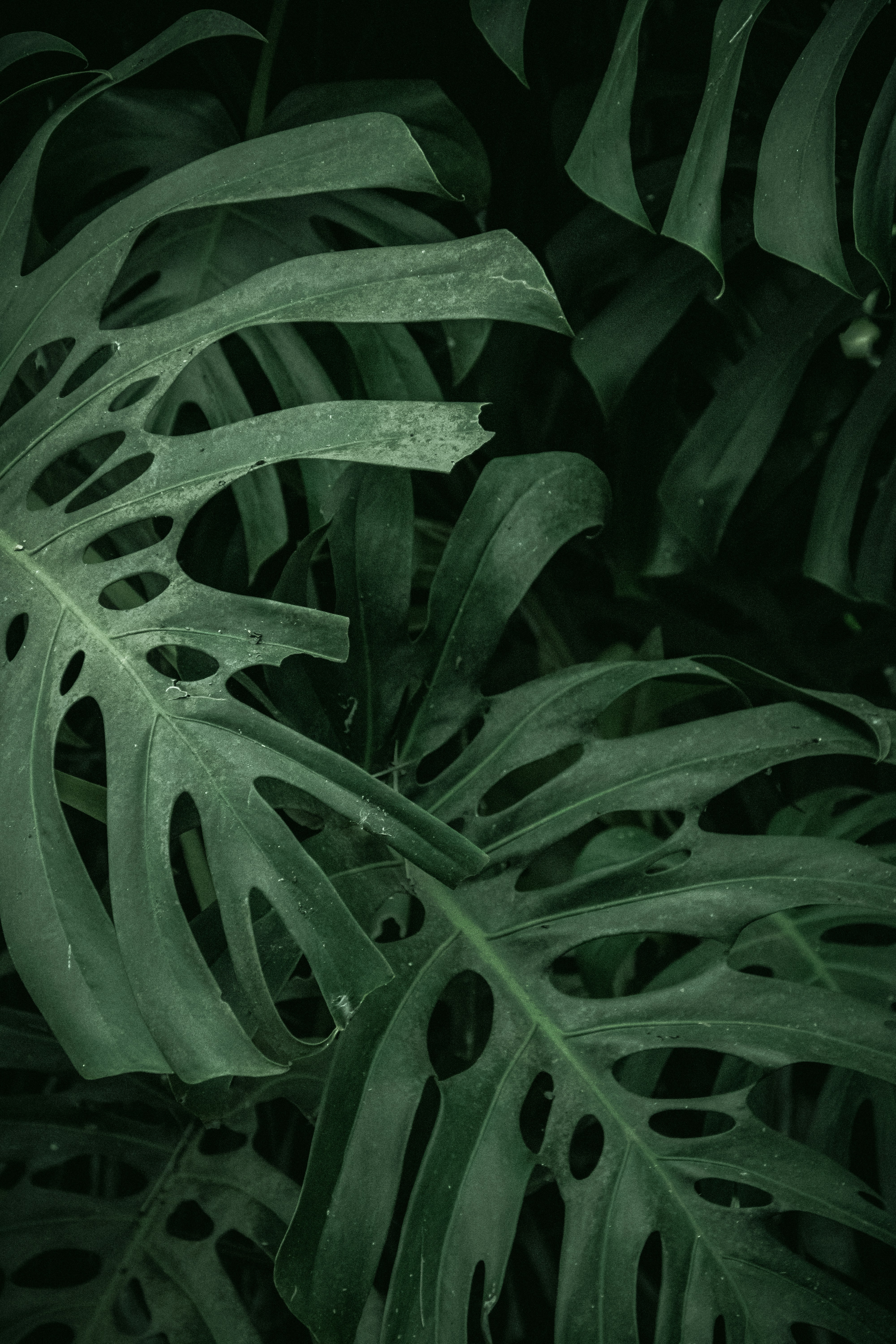 Photo by gabrieluizramos