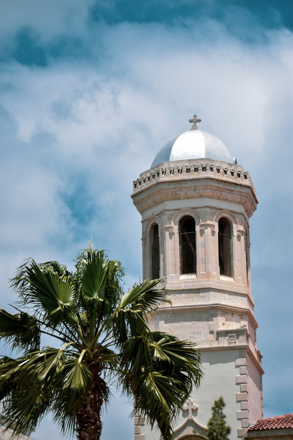 a palm tree is in front of a building