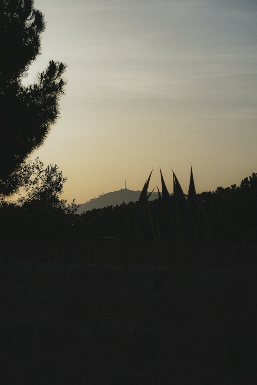 una silueta de un árbol y montañas en la distancia