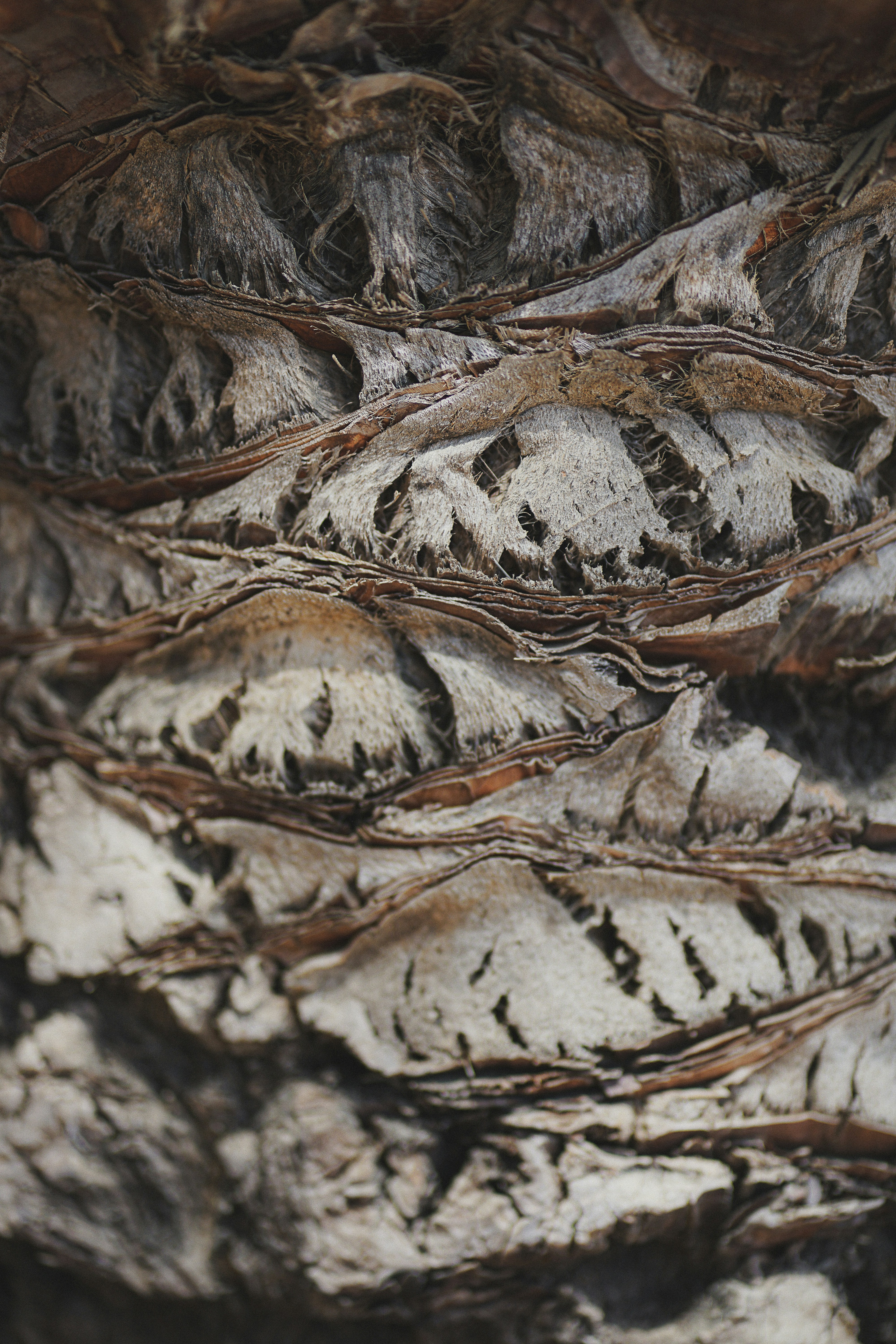 Photo by schoolbaasq