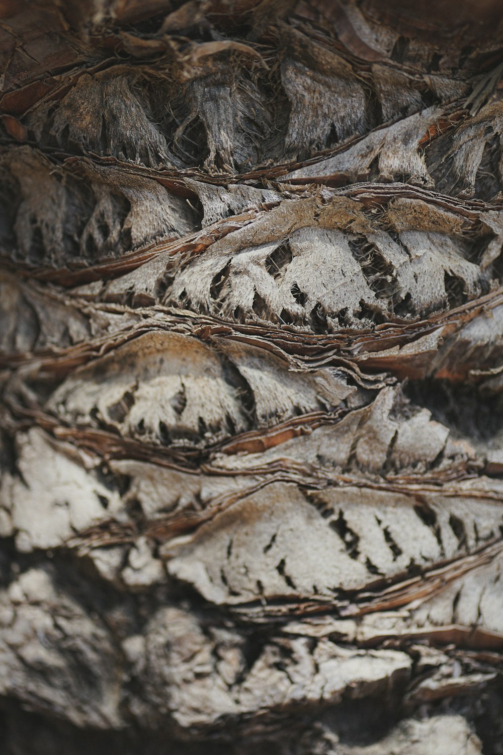 a bird is perched on a tree branch