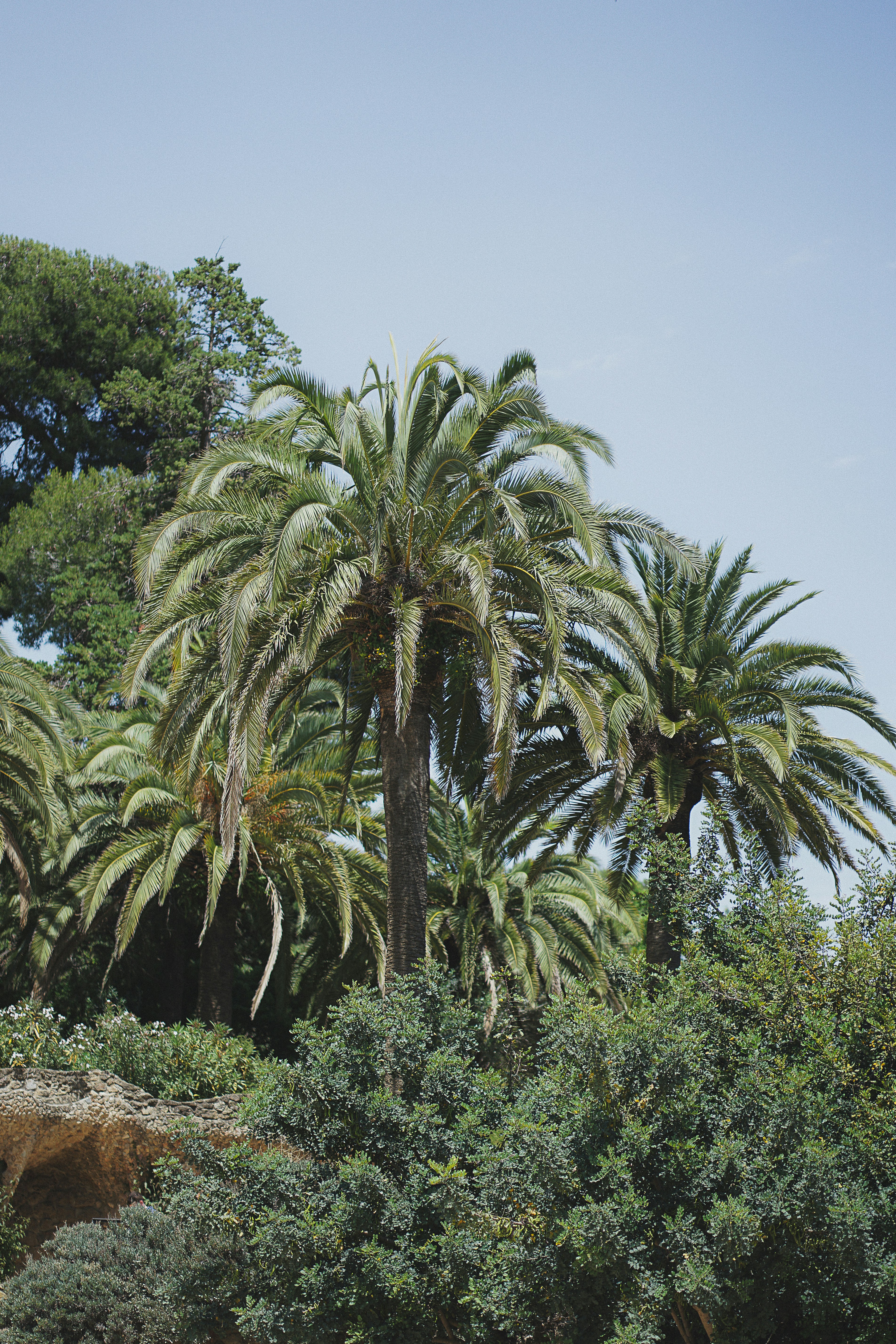 Photo by schoolbaasq