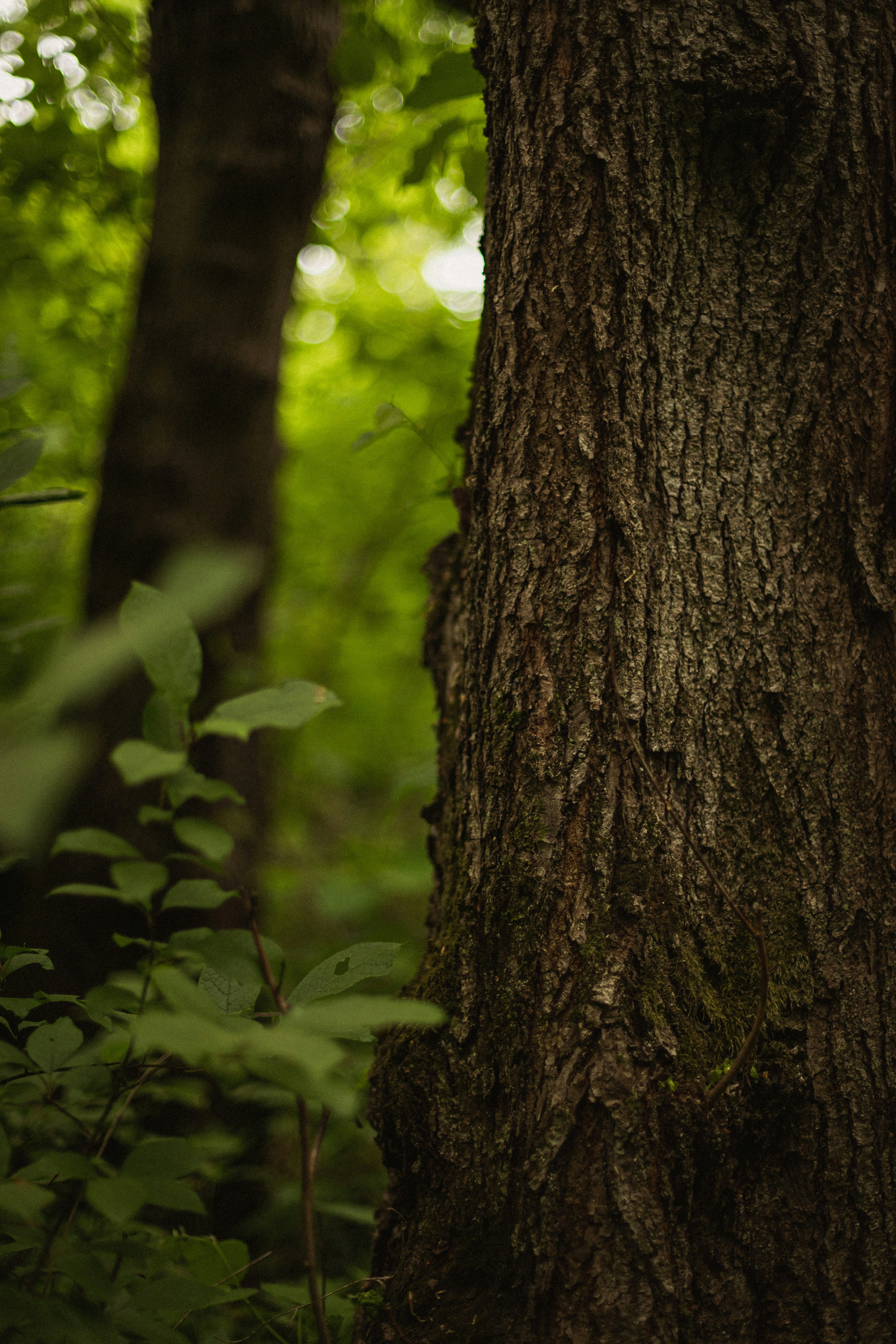 Photo by mykhailokopyt