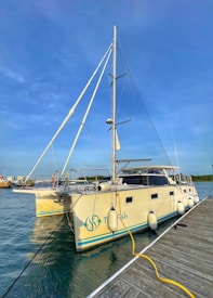 A catamaran is moored at a dock under a clear blue sky. The boat has a pale yellow hull with turquoise accents and is equipped with multiple fenders along its side. The name 'True Fish' is visible on the side. Nearby, a marina and additional boats can be seen in the distance.