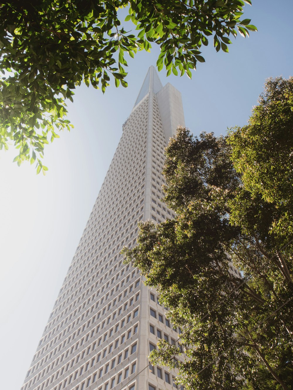 a very tall building with a lot of trees in front of it