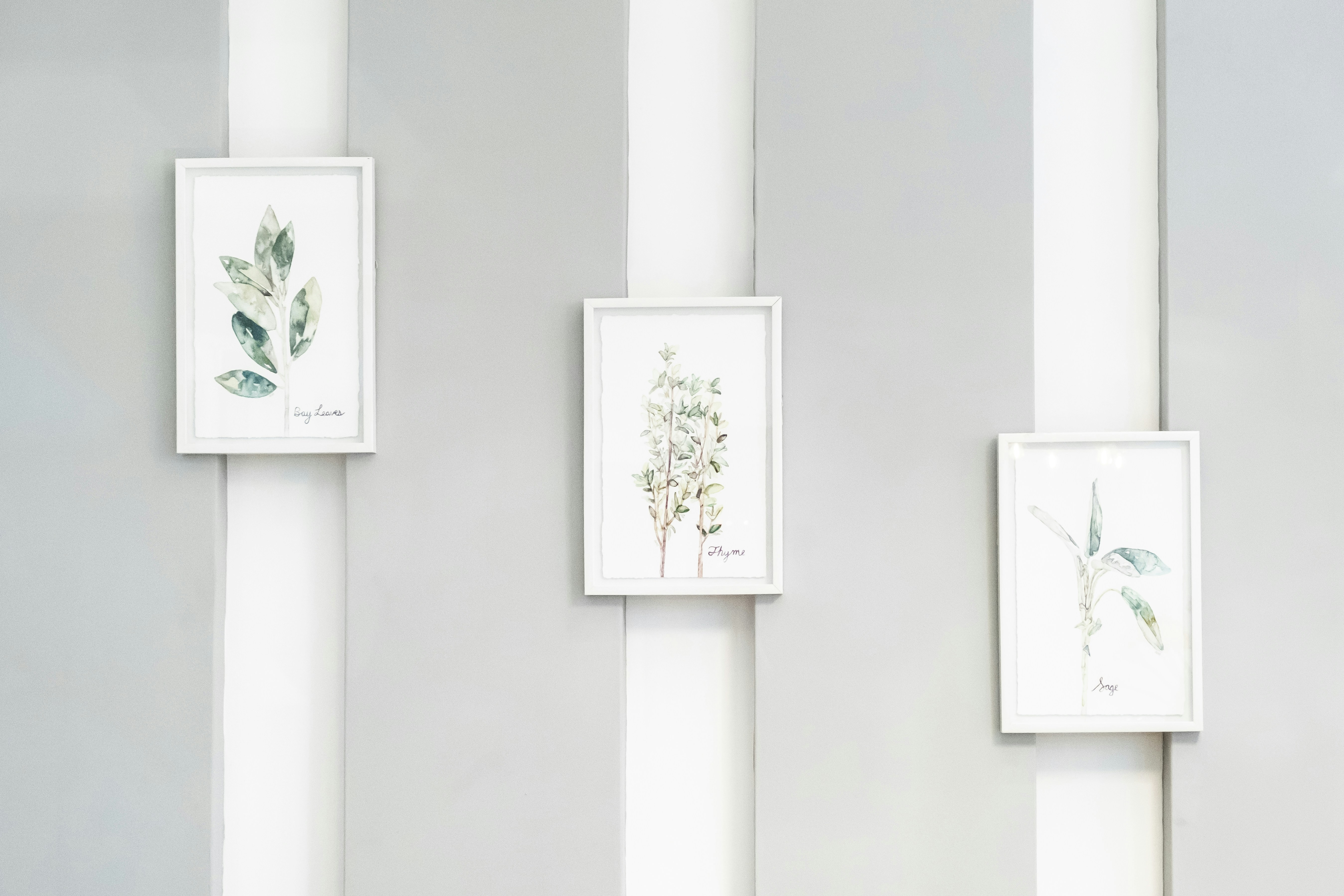 Photo by 17allansfilms